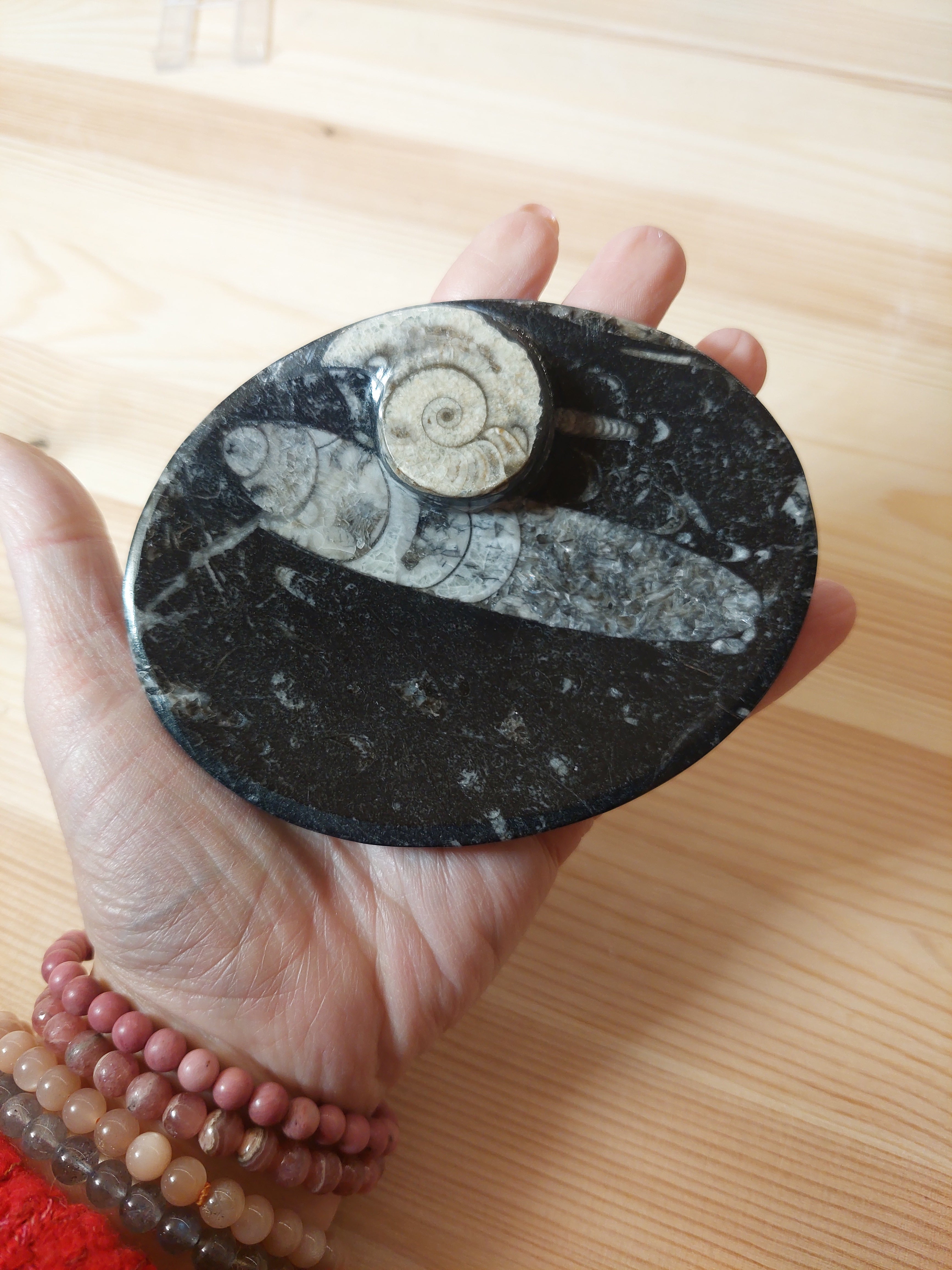 Oval Fossil Dish