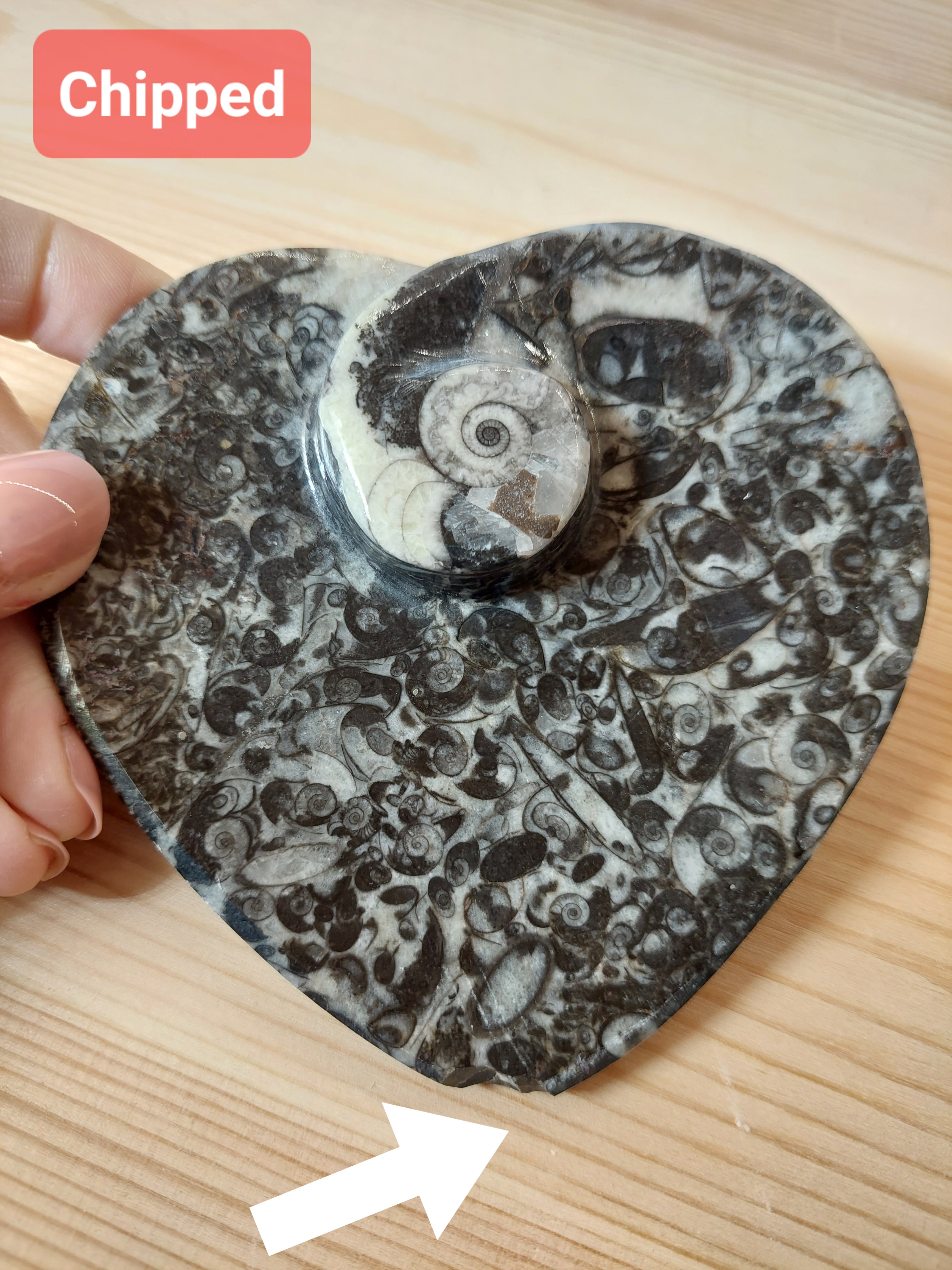 Heart Fossil Dish