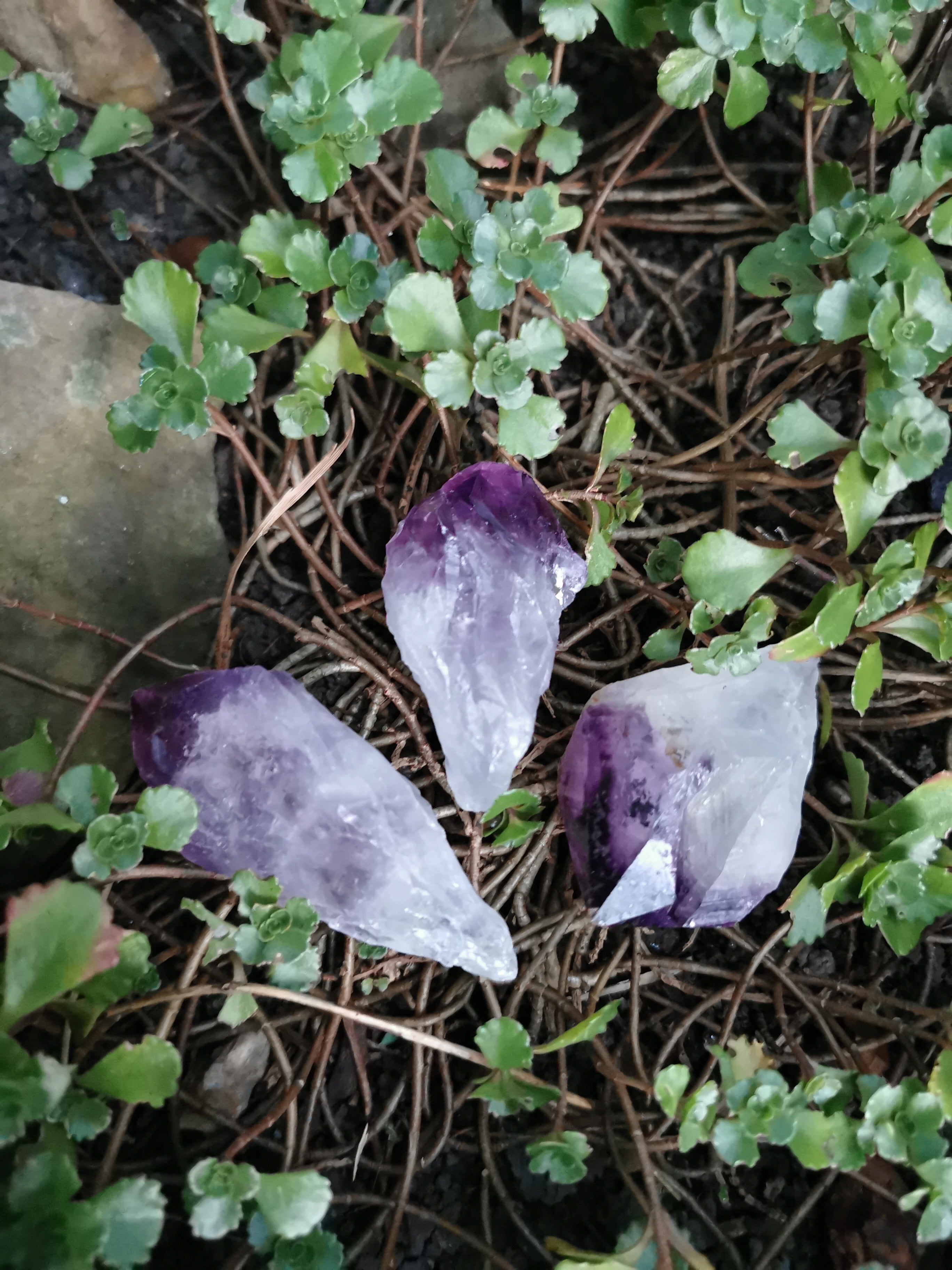 Amethyst Natural Point