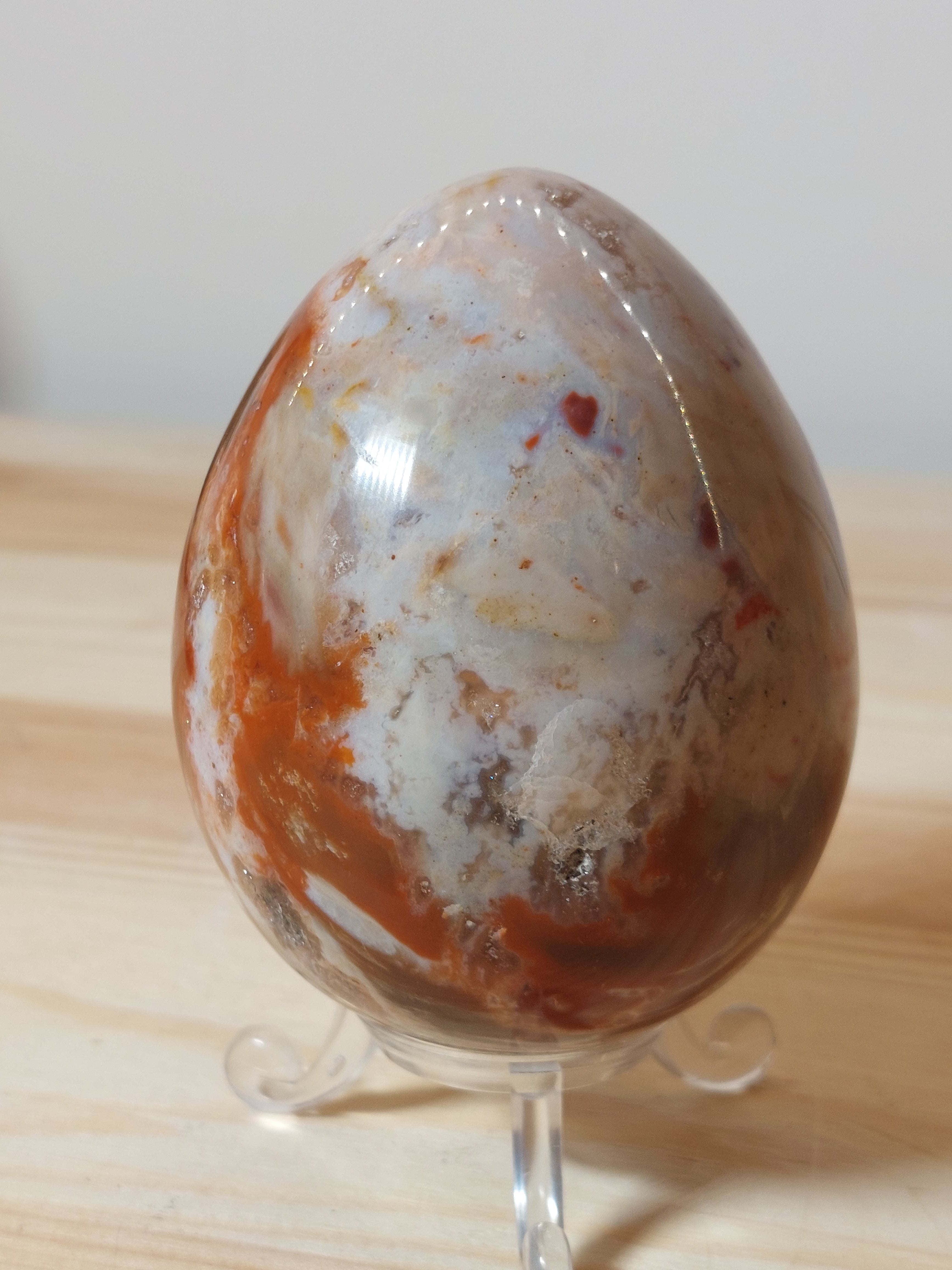 Fossil Wood Egg - 8cm