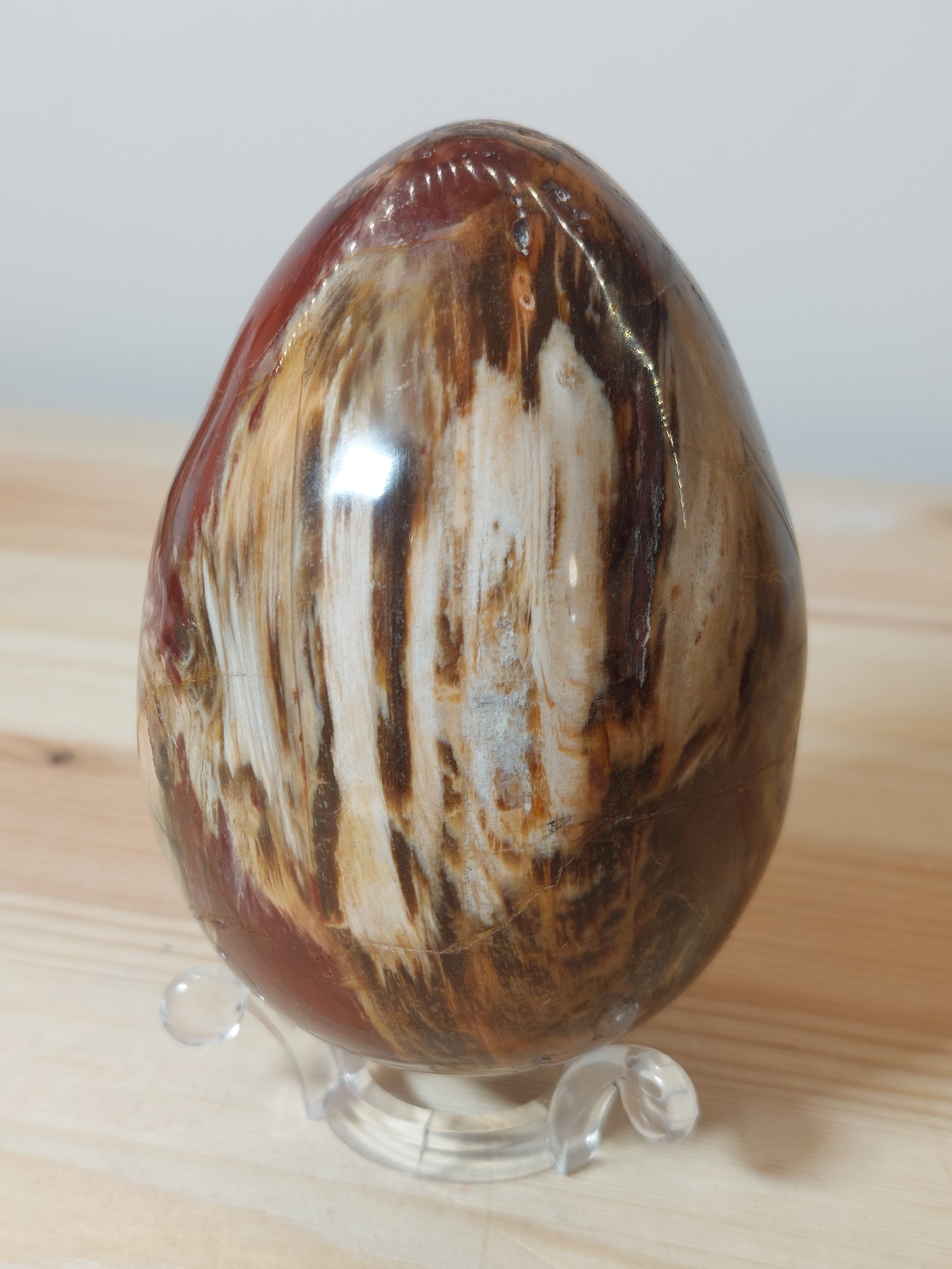 Fossil Wood Egg - 9cm