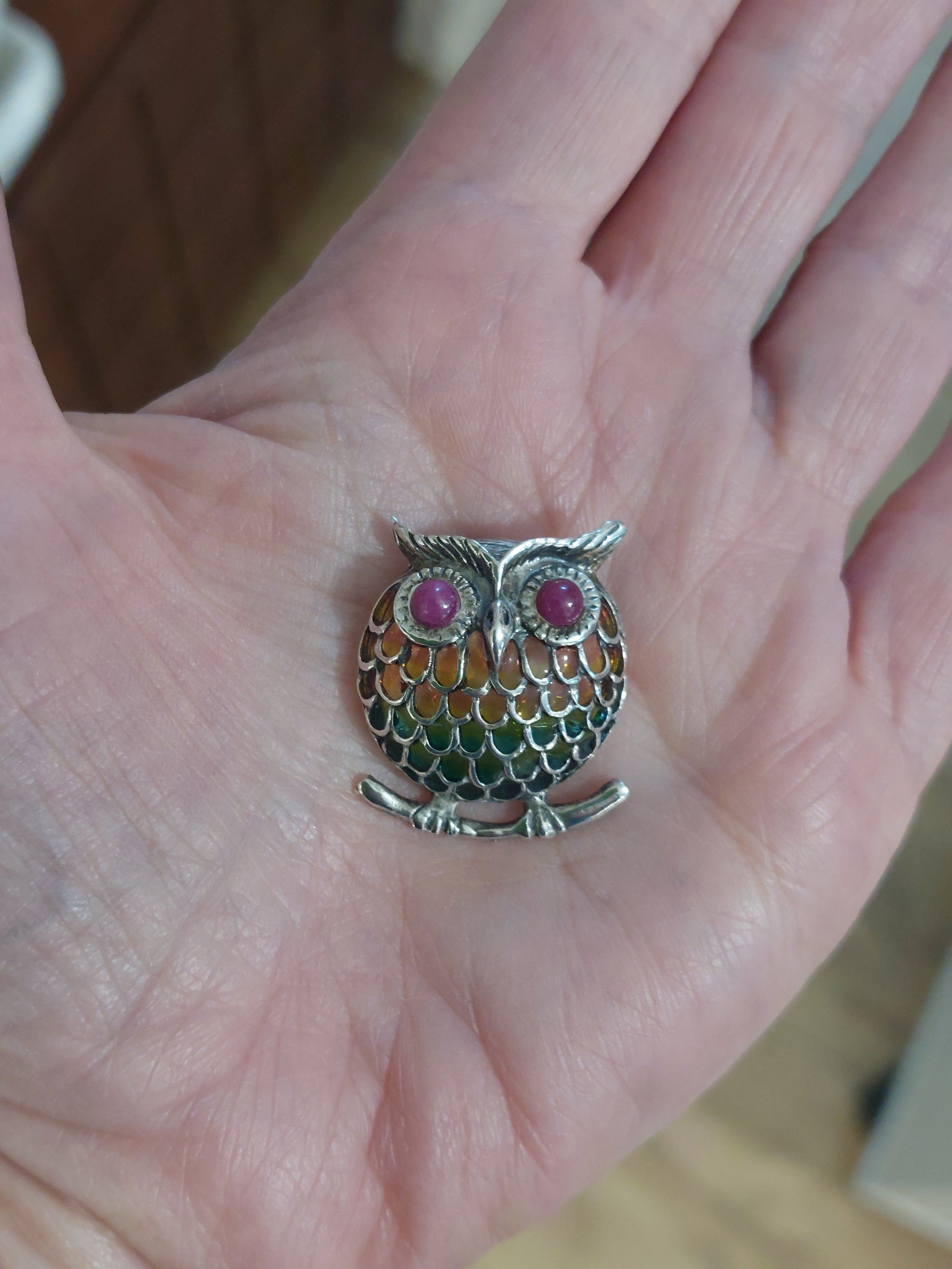 Ruby and Enamel Owl Pendant - 925 Sterling Silver