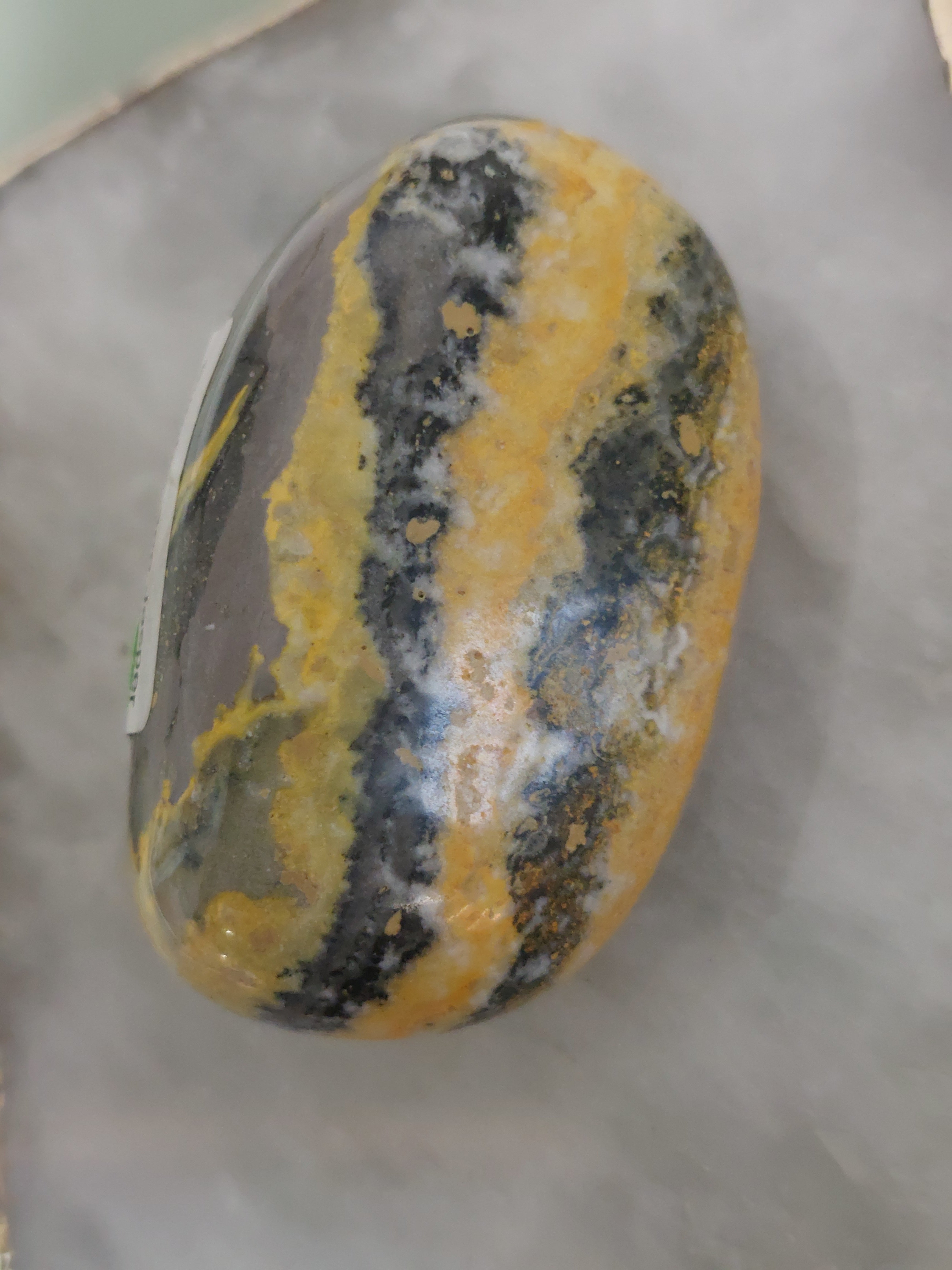 Bumble Bee Jasper Palm Stone