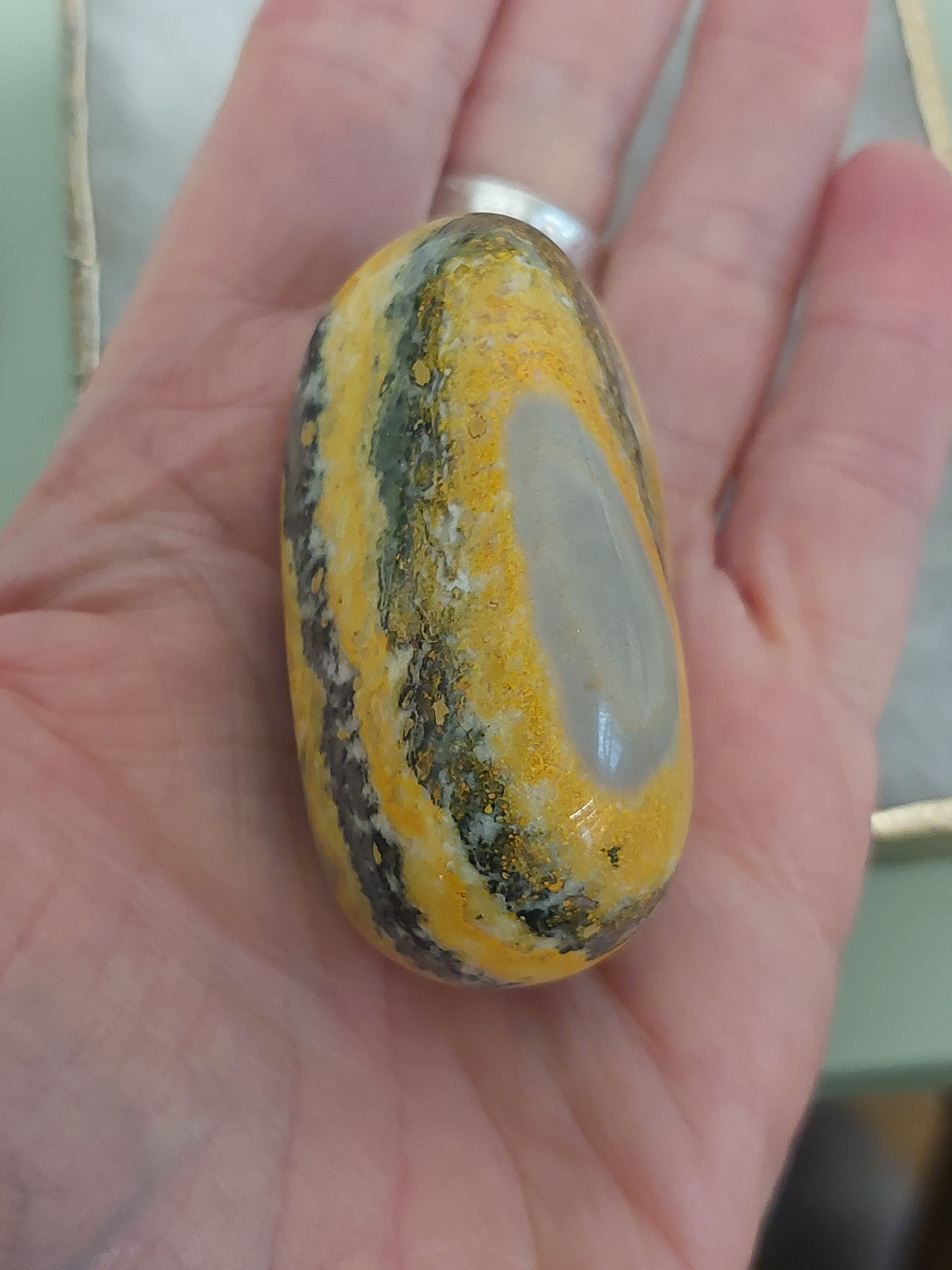 Bumble Bee Jasper Palm Stone