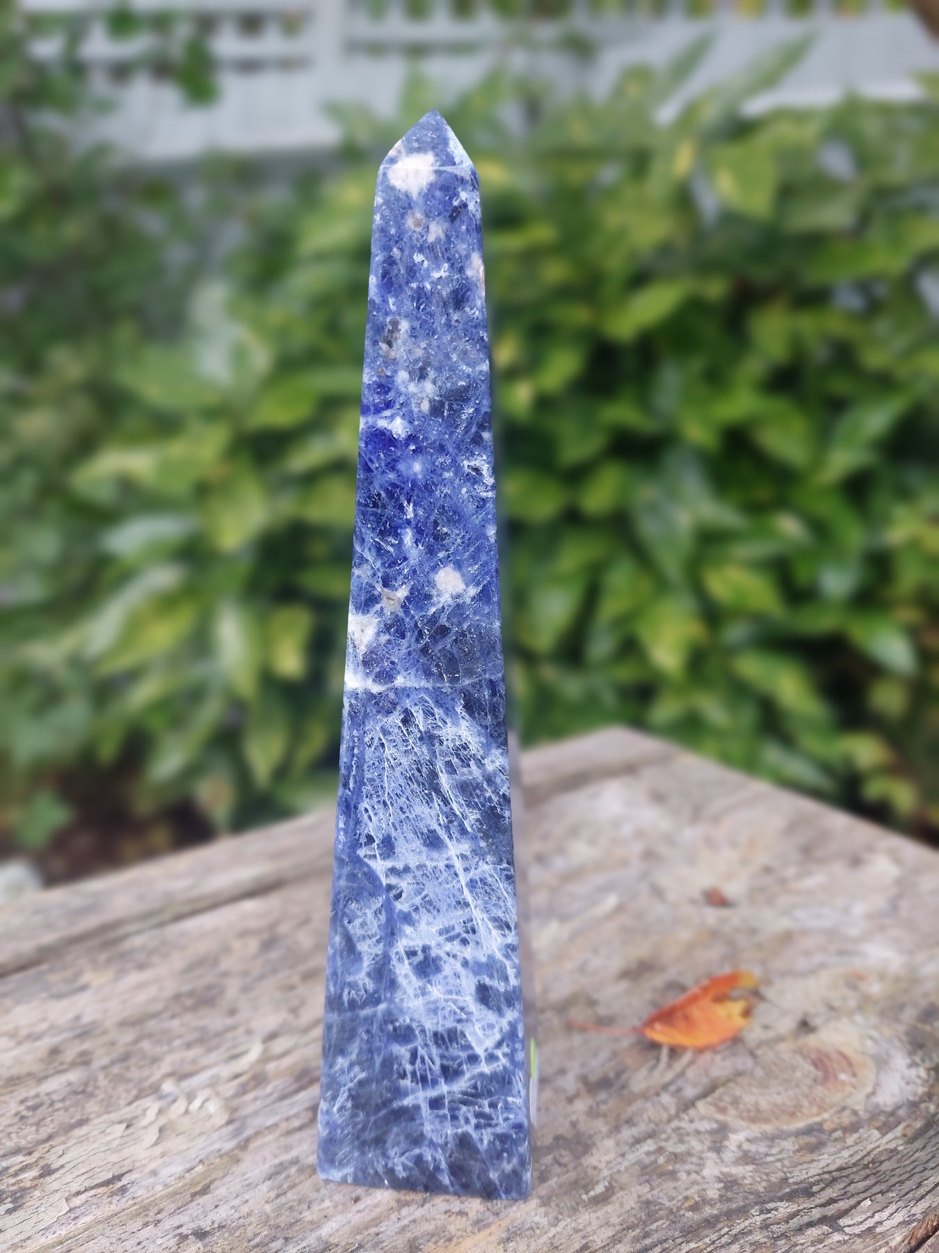 Point - Polished