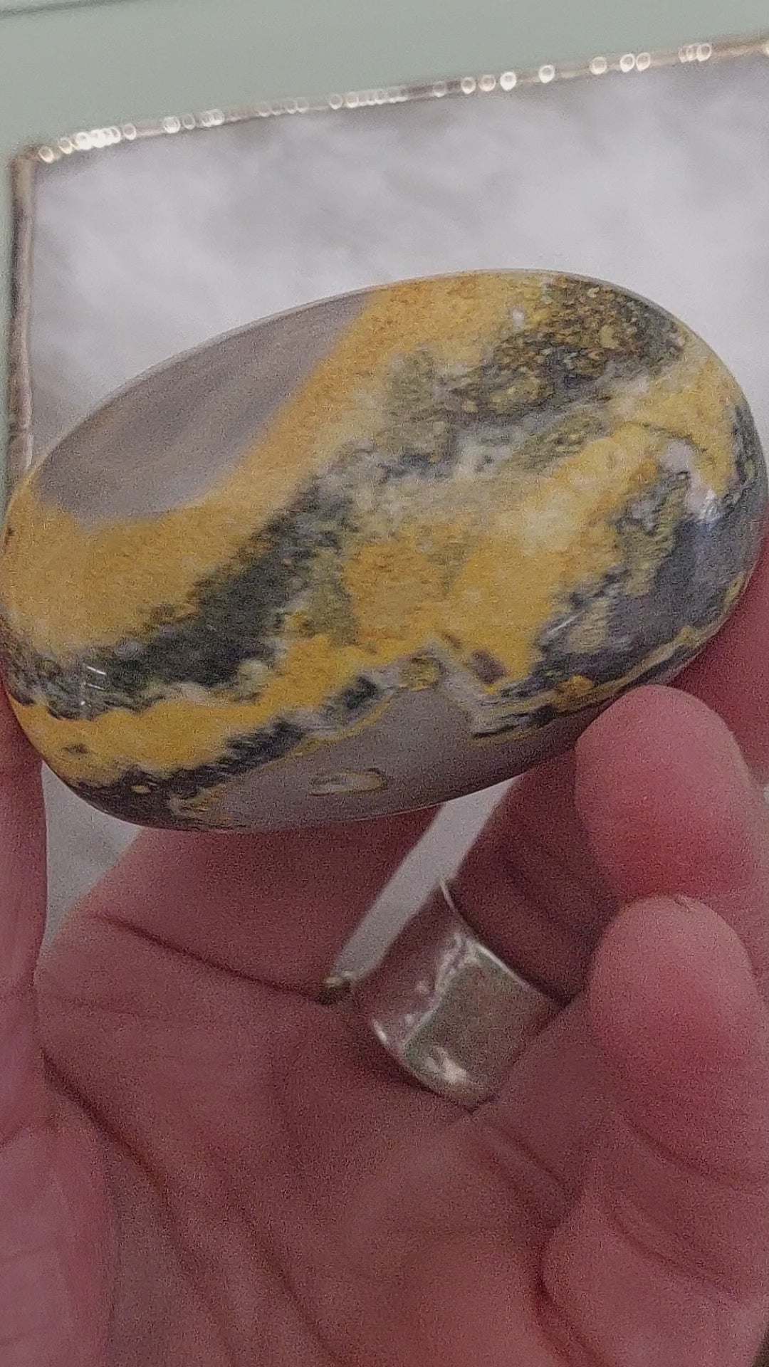Bumble Bee Jasper