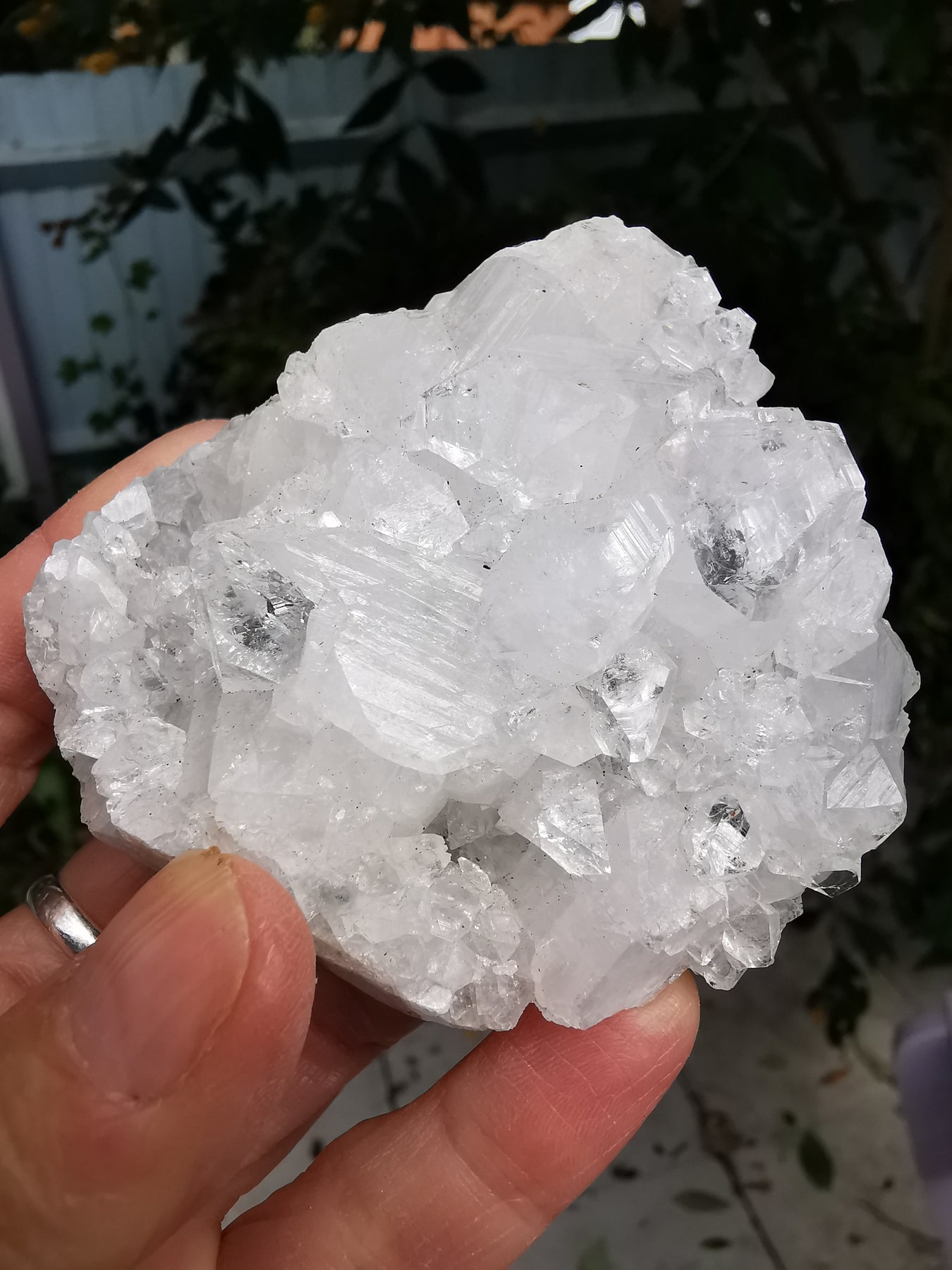 Apophyllite