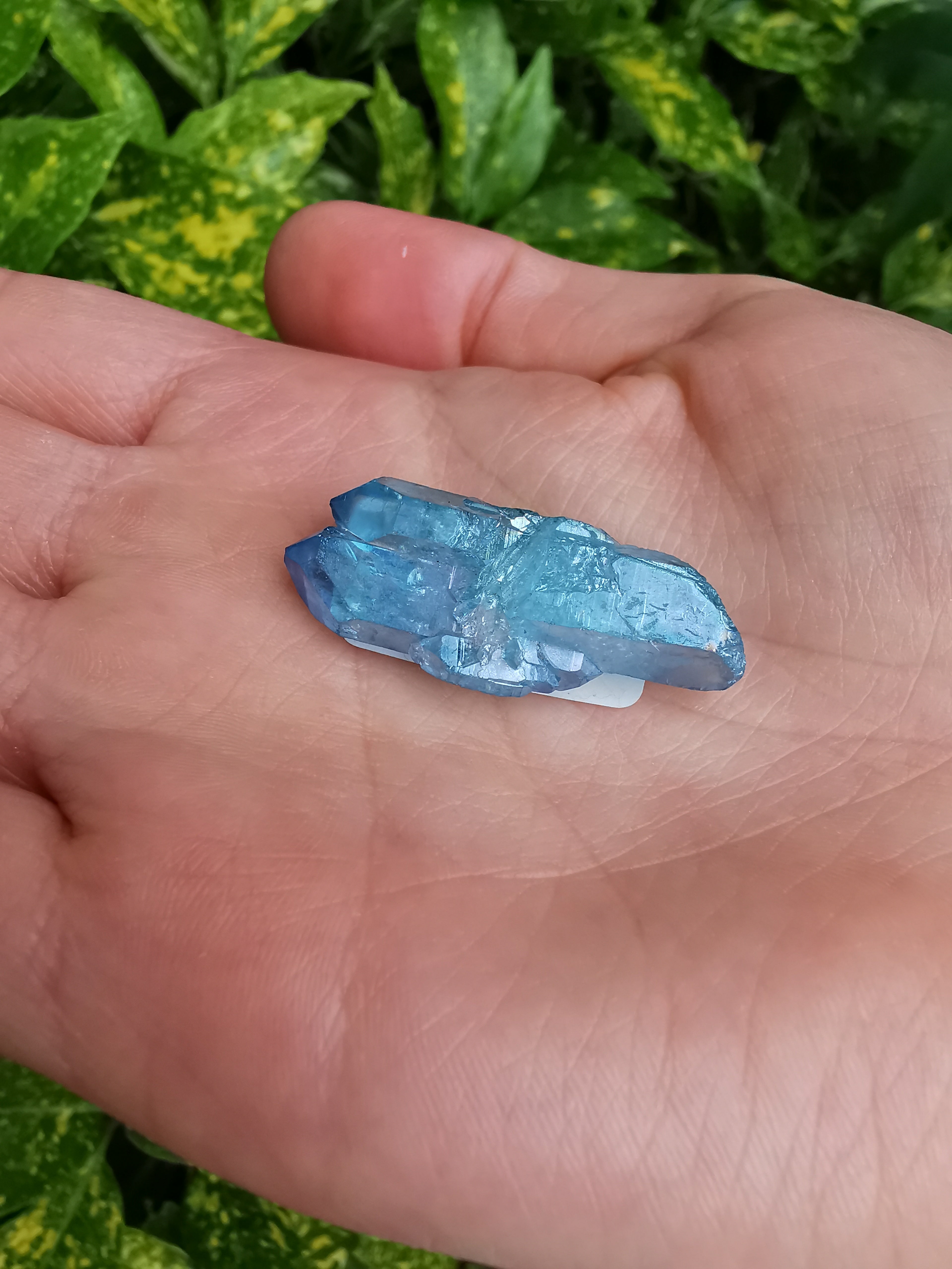 Aqua Aura Quartz Cluster