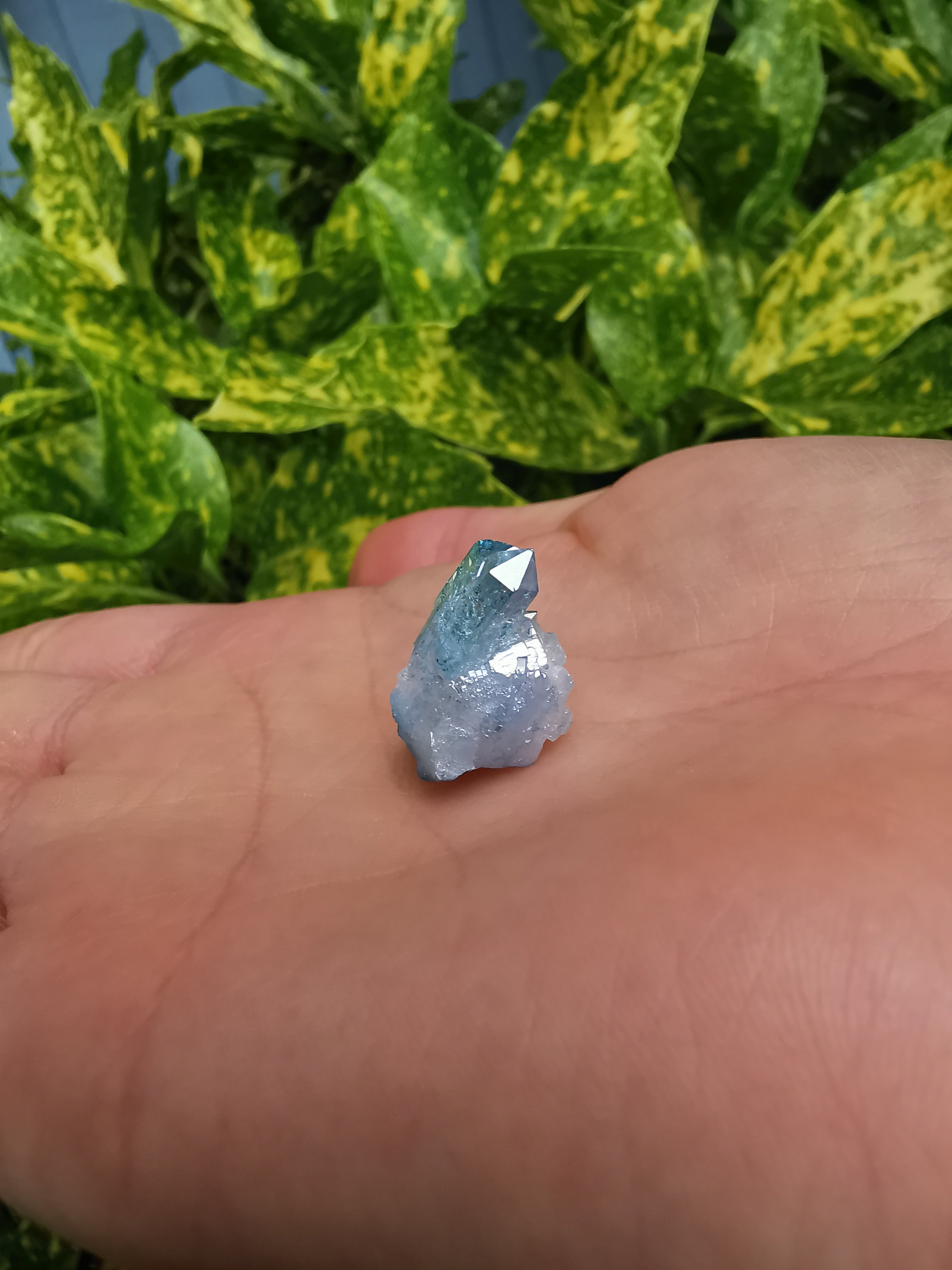 Aqua Aura Quartz Cluster