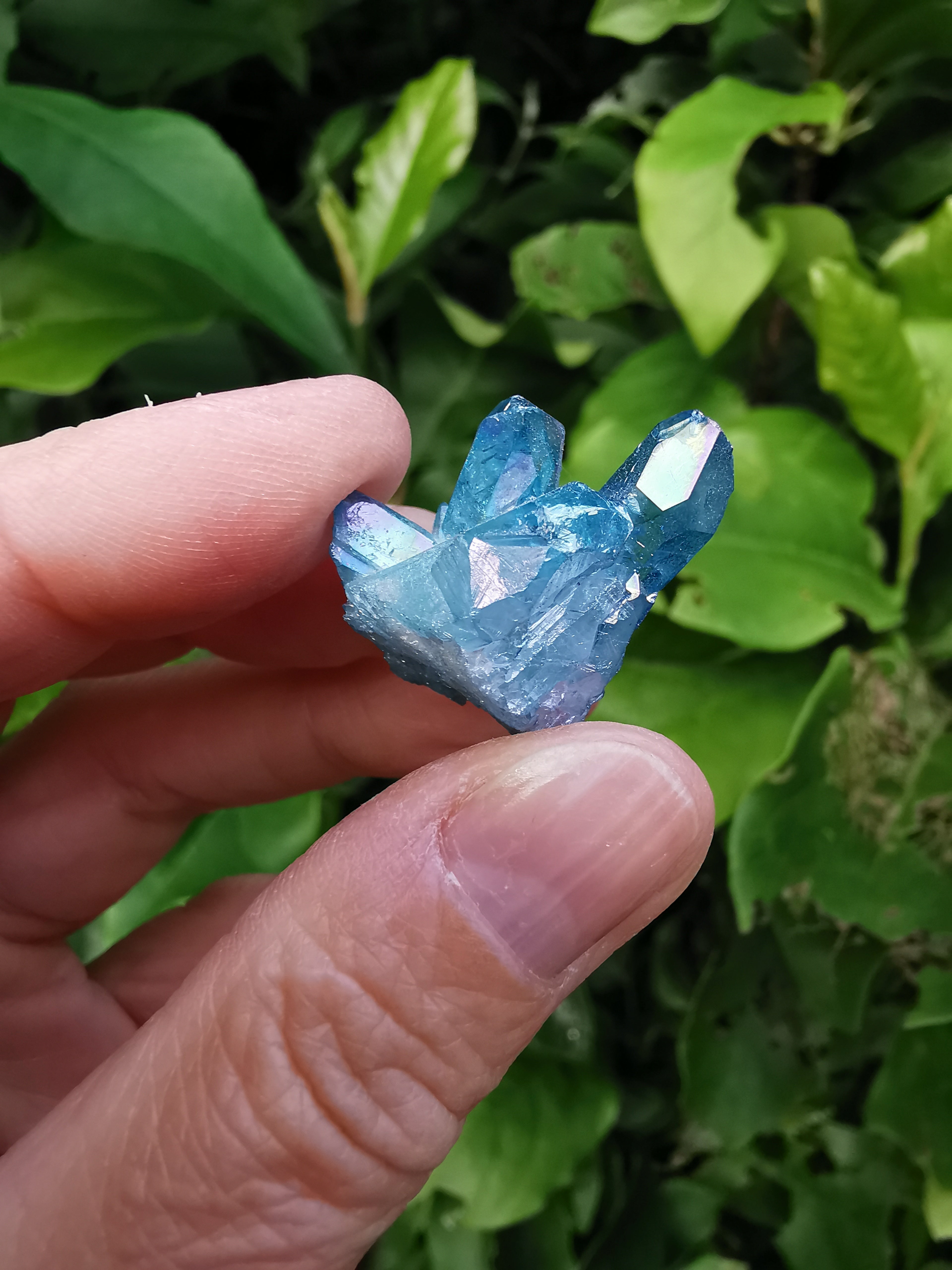 Aqua Aura Quartz Cluster