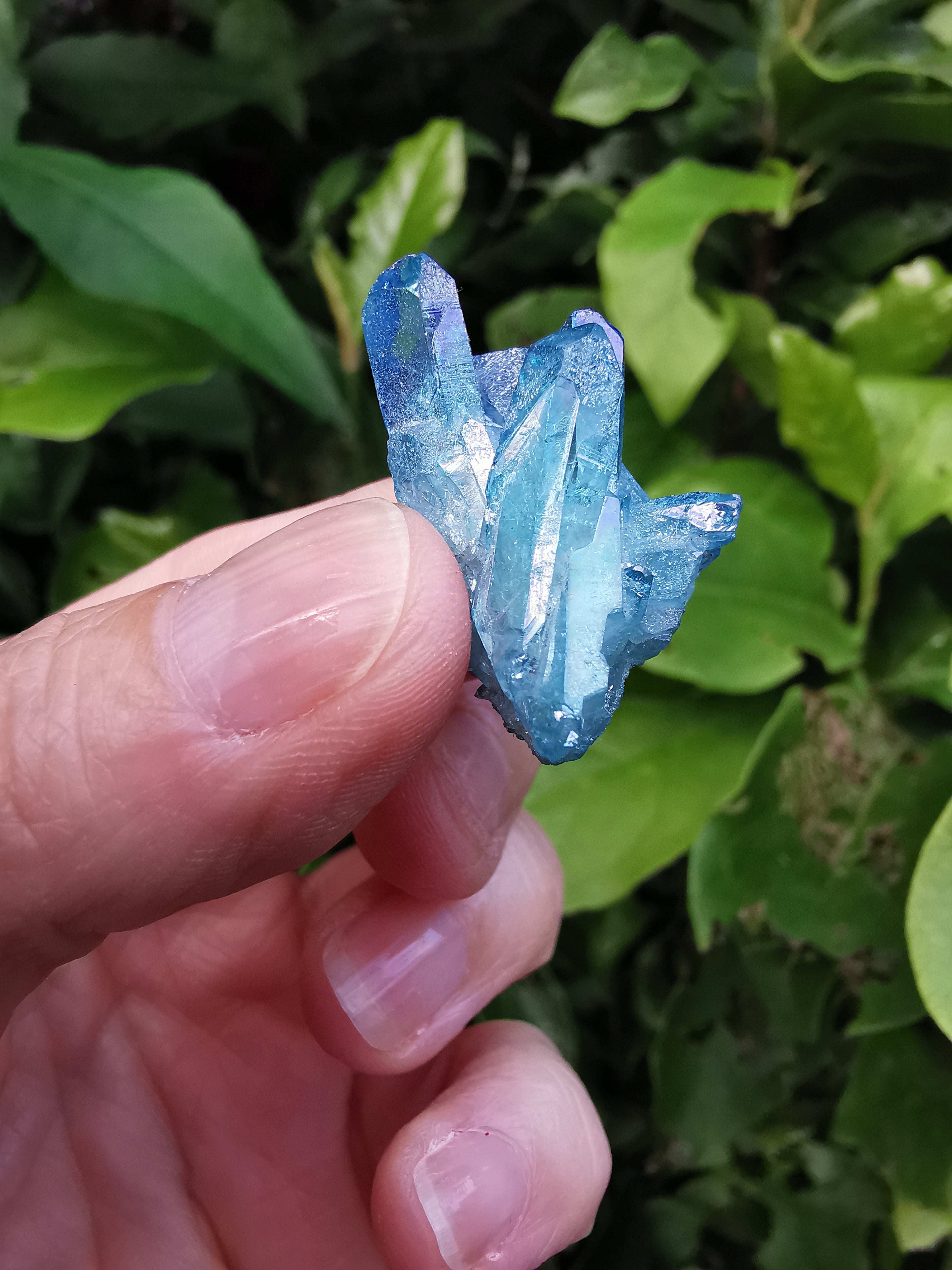 Aqua Aura Quartz Cluster