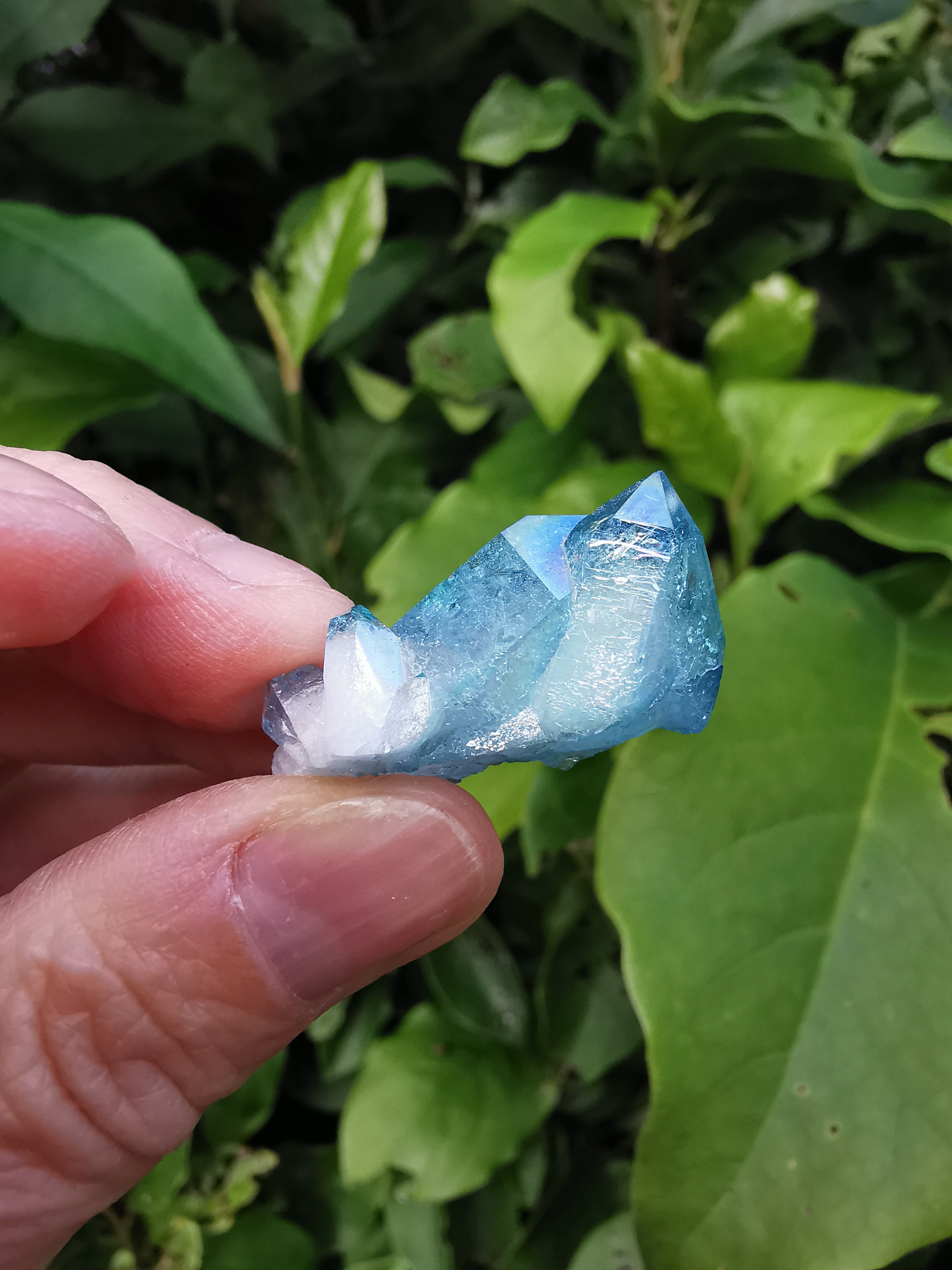 Aqua Aura Quartz Cluster