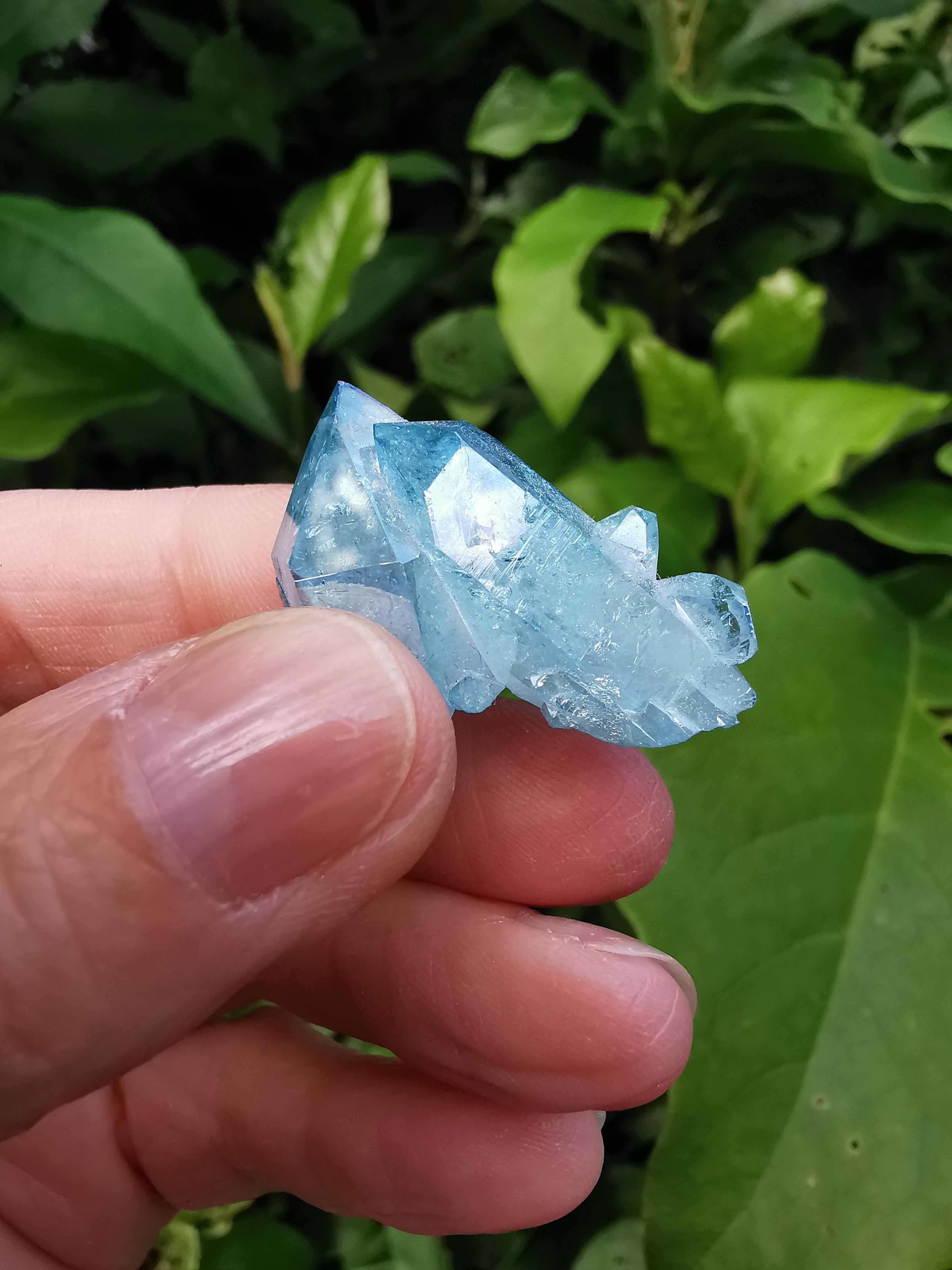 Aqua Aura Quartz Cluster