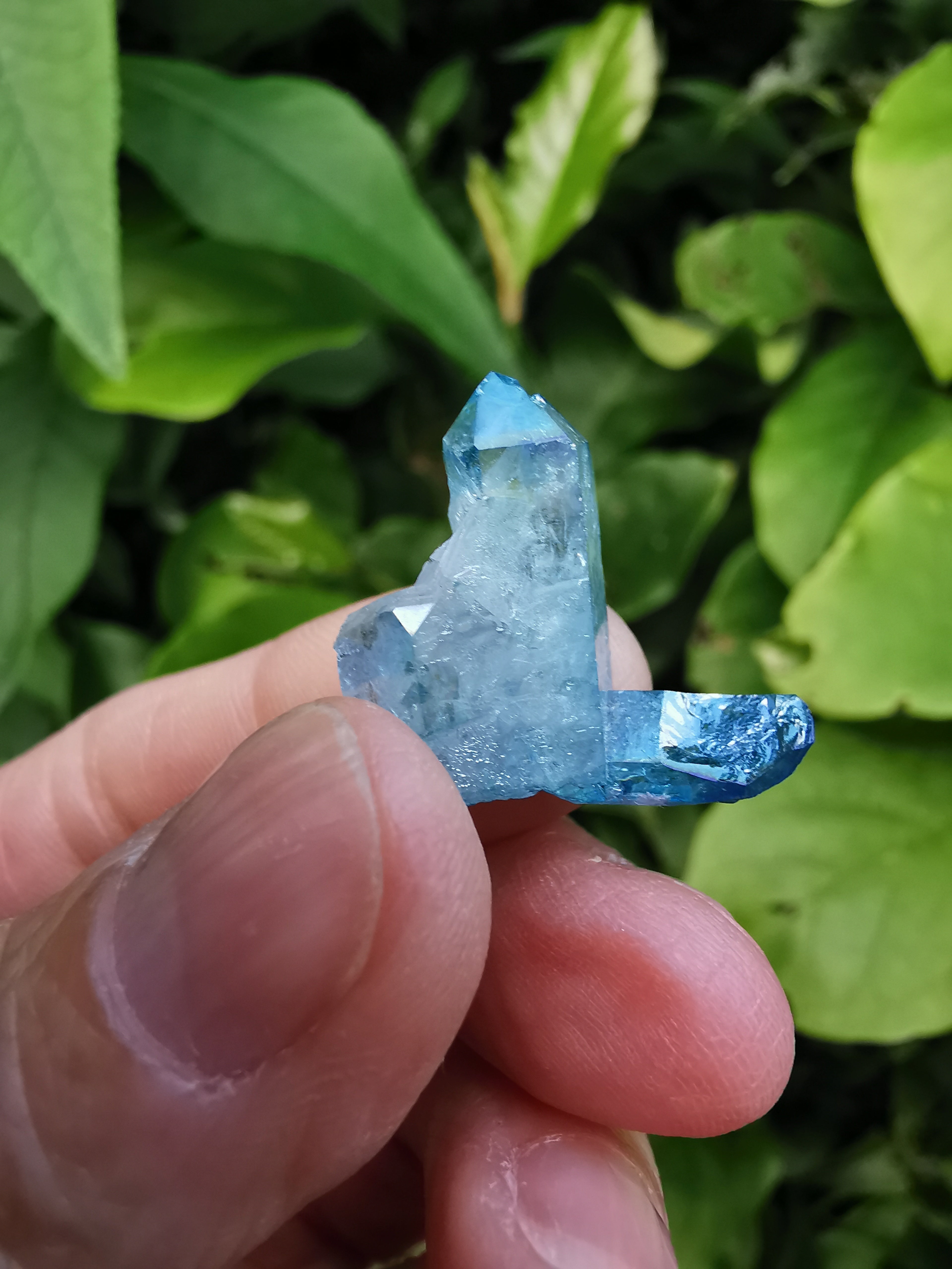 Aqua Aura Quartz Cluster