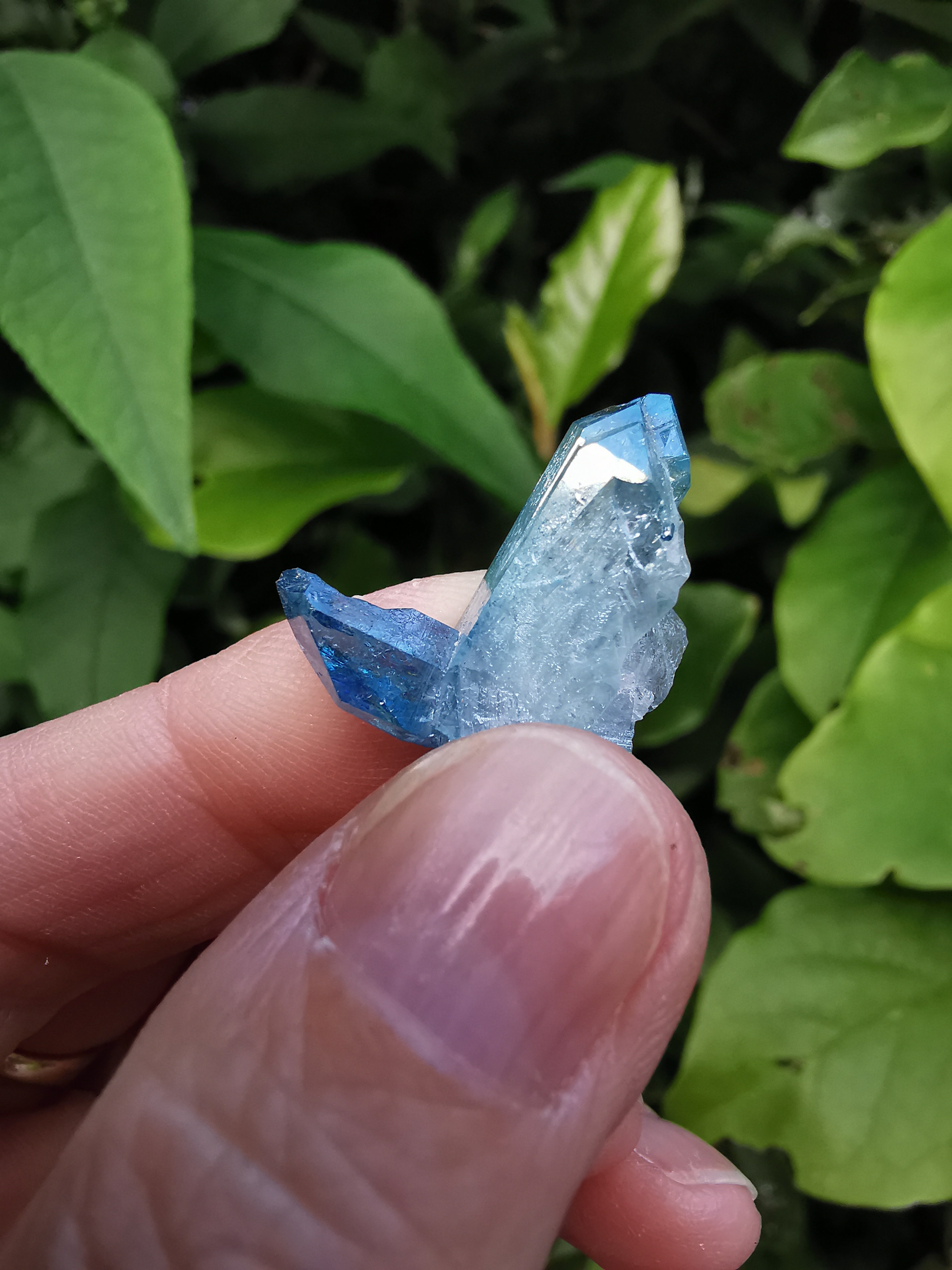 Aqua Aura Quartz Cluster