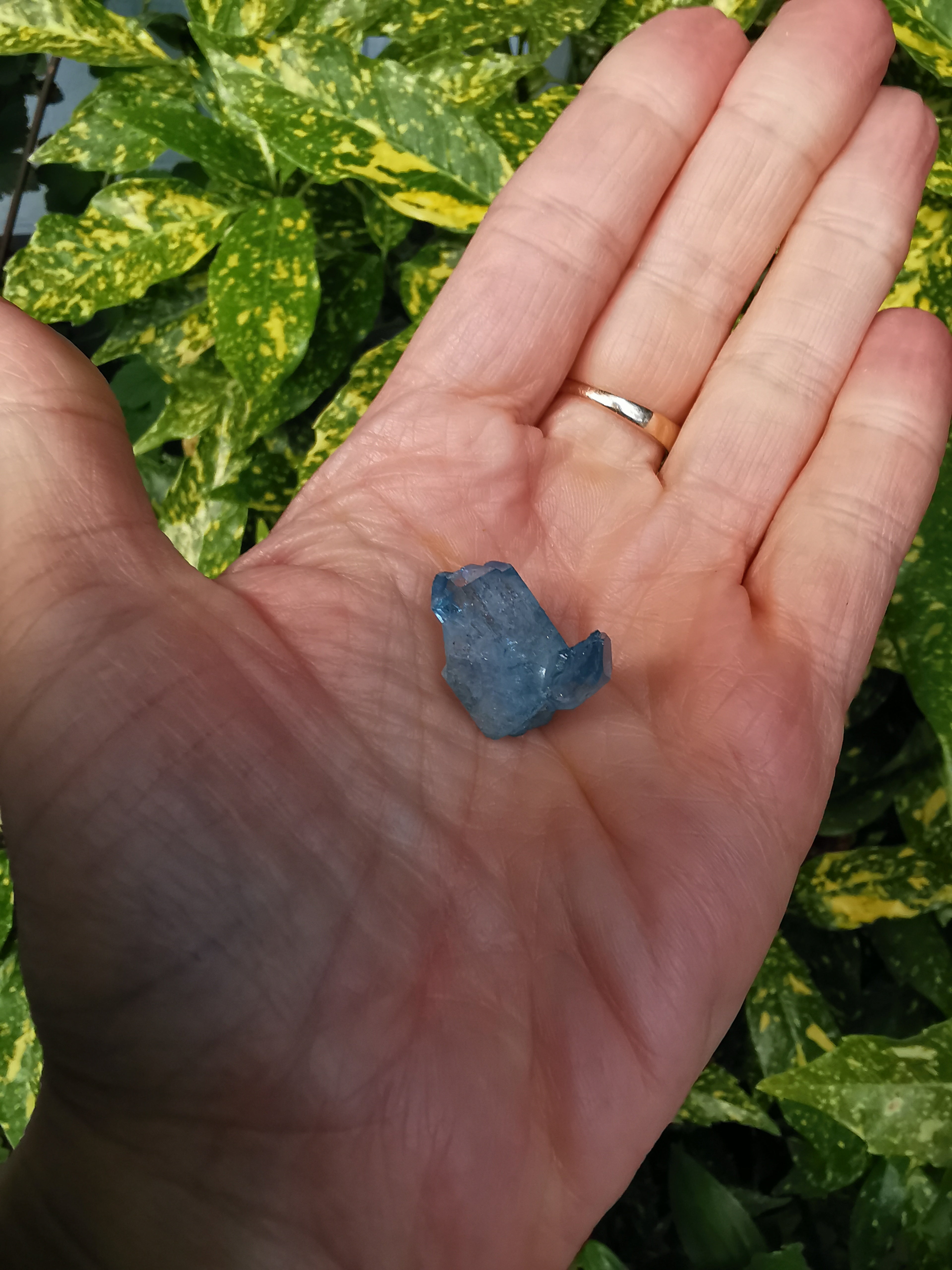 Aqua Aura Quartz Cluster