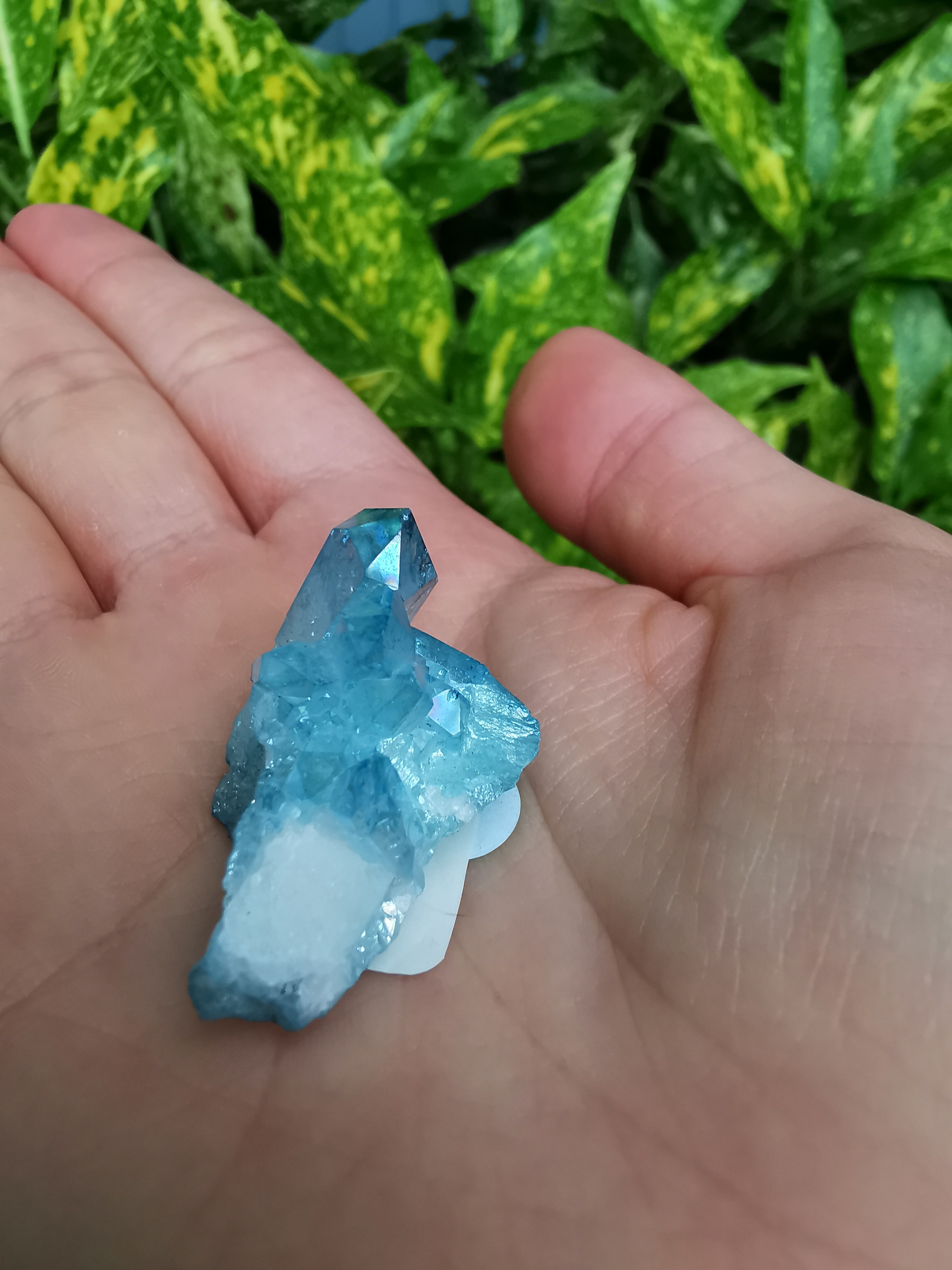 Aqua Aura Quartz Cluster