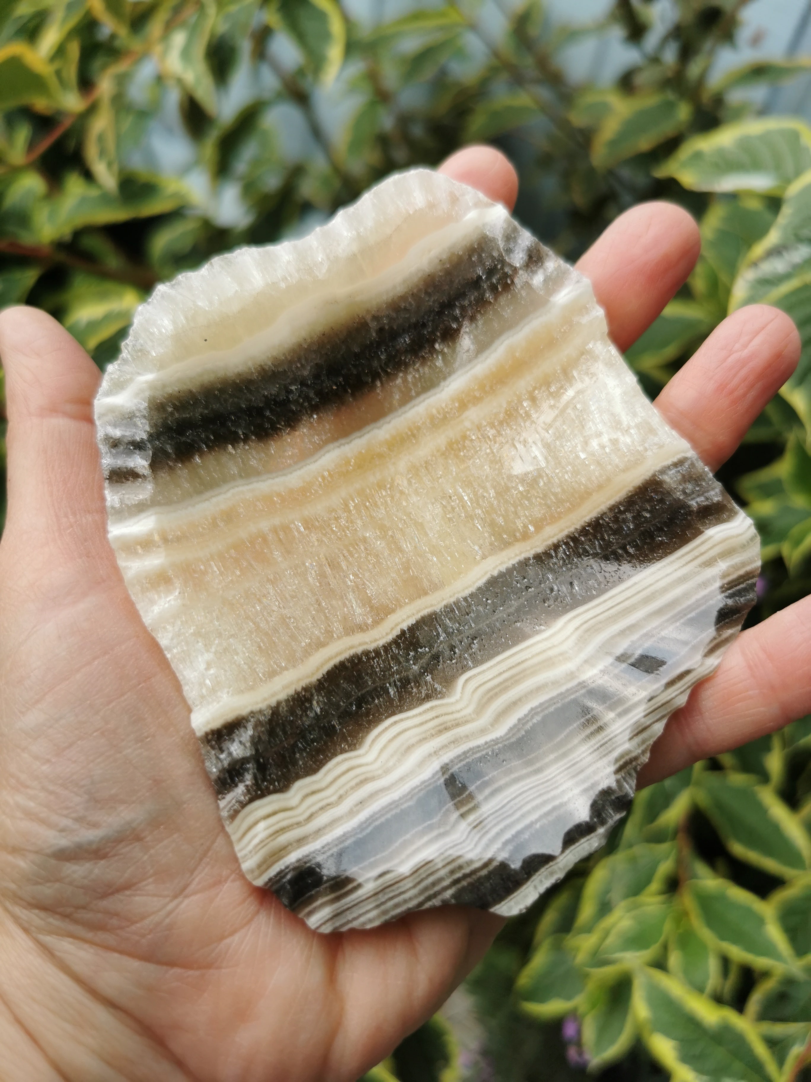 Zebra Calcite Dish