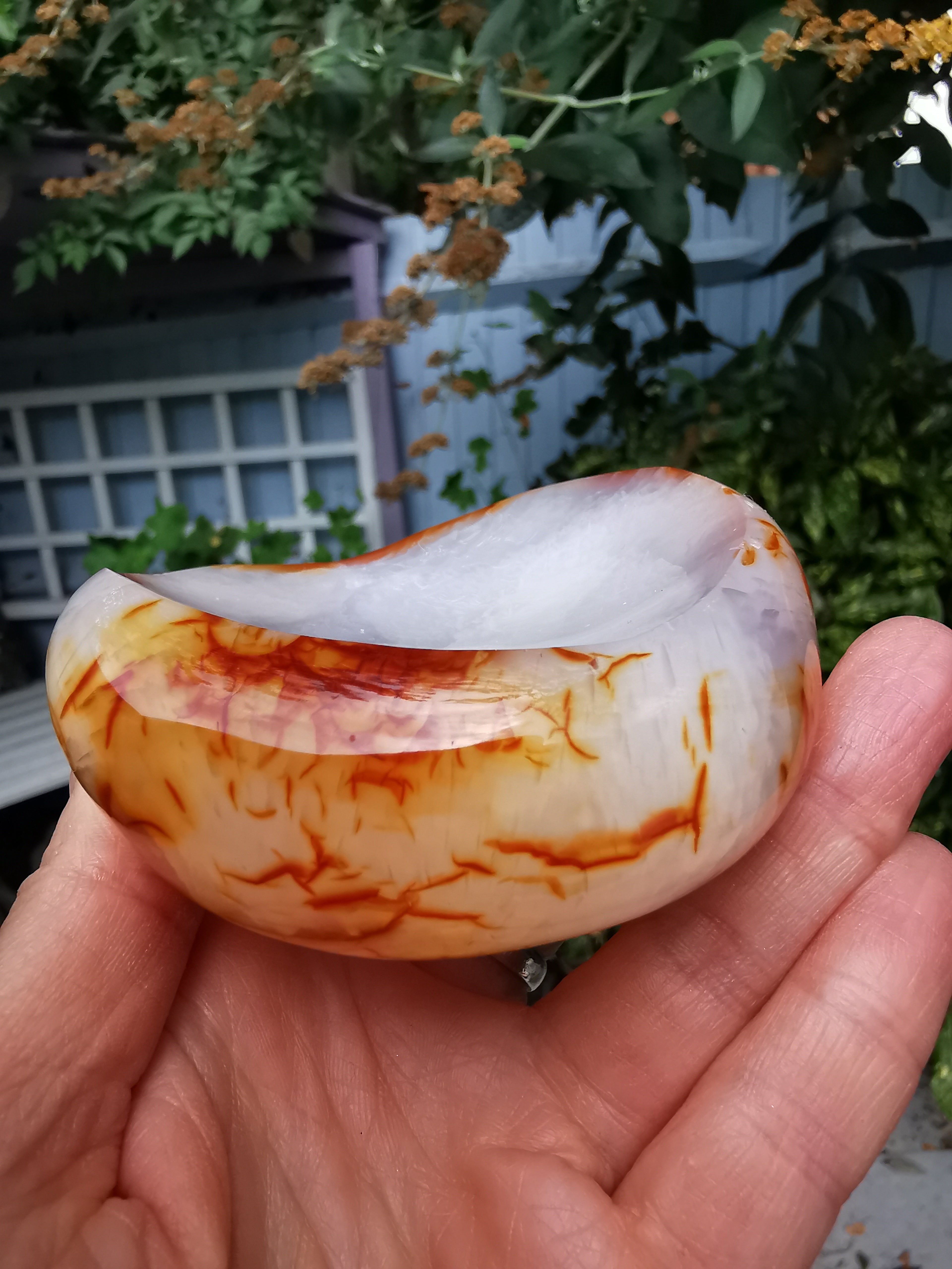 Carnelian Dish