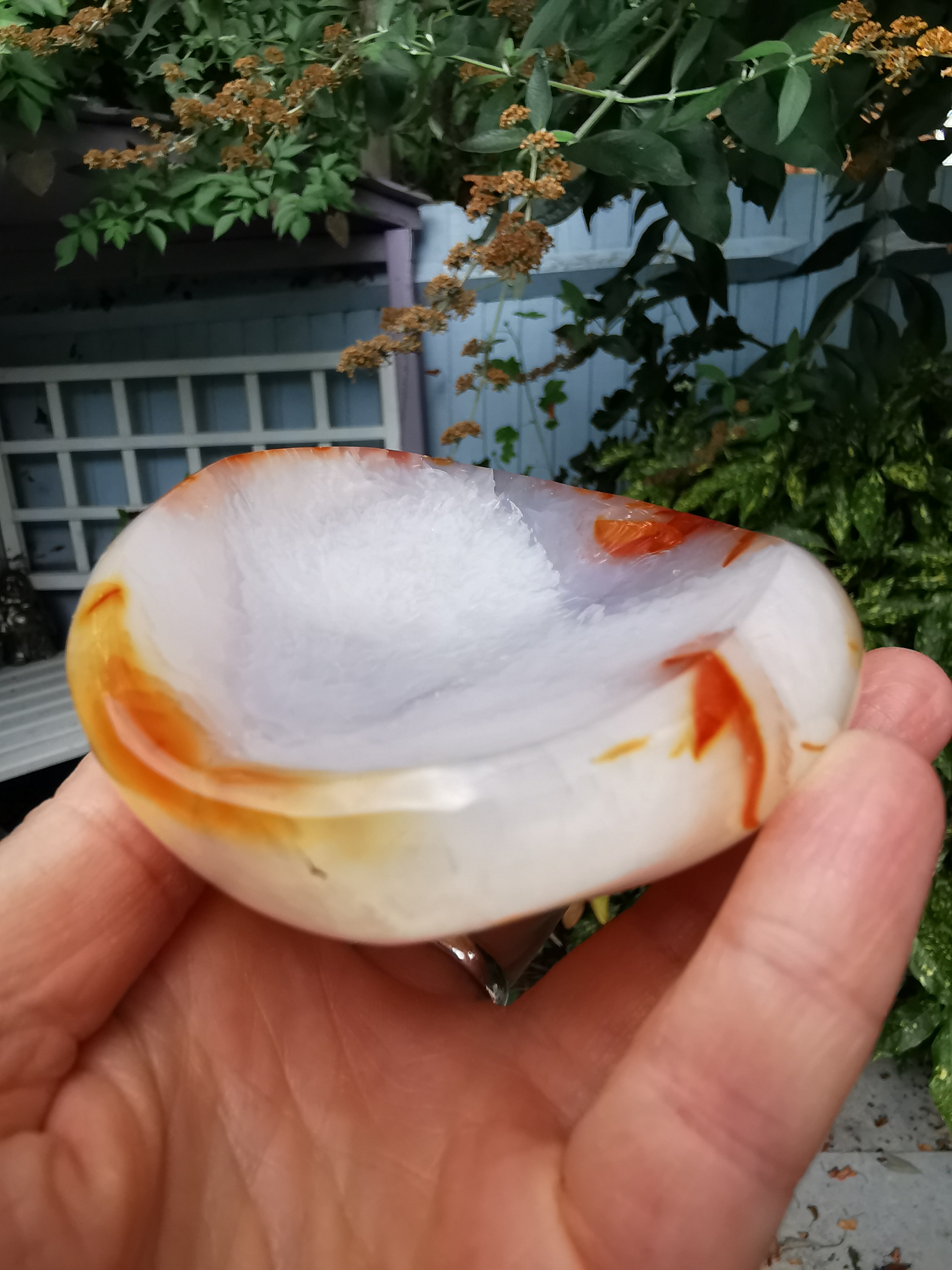 Carnelian Dish