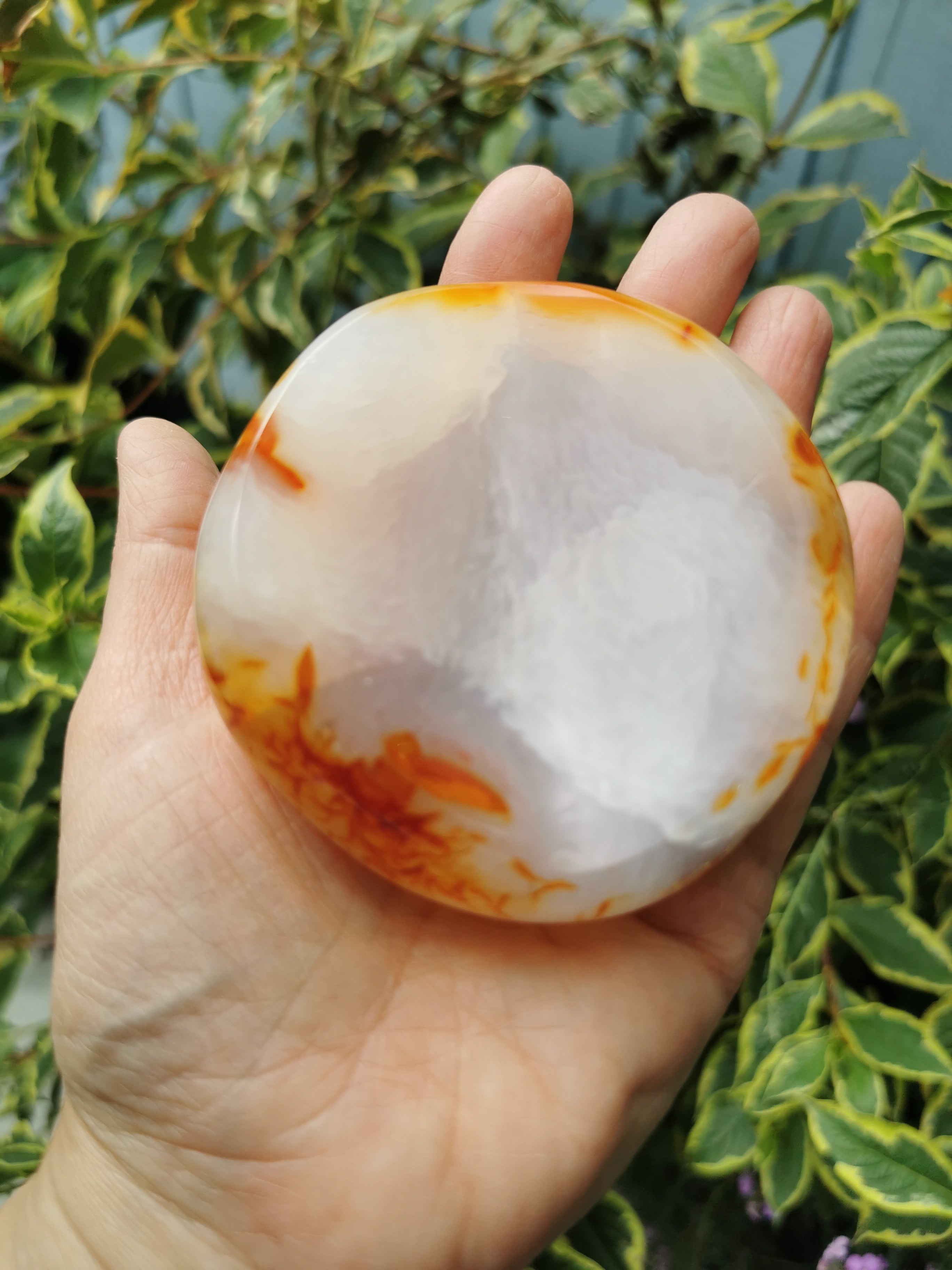 Carnelian Dish
