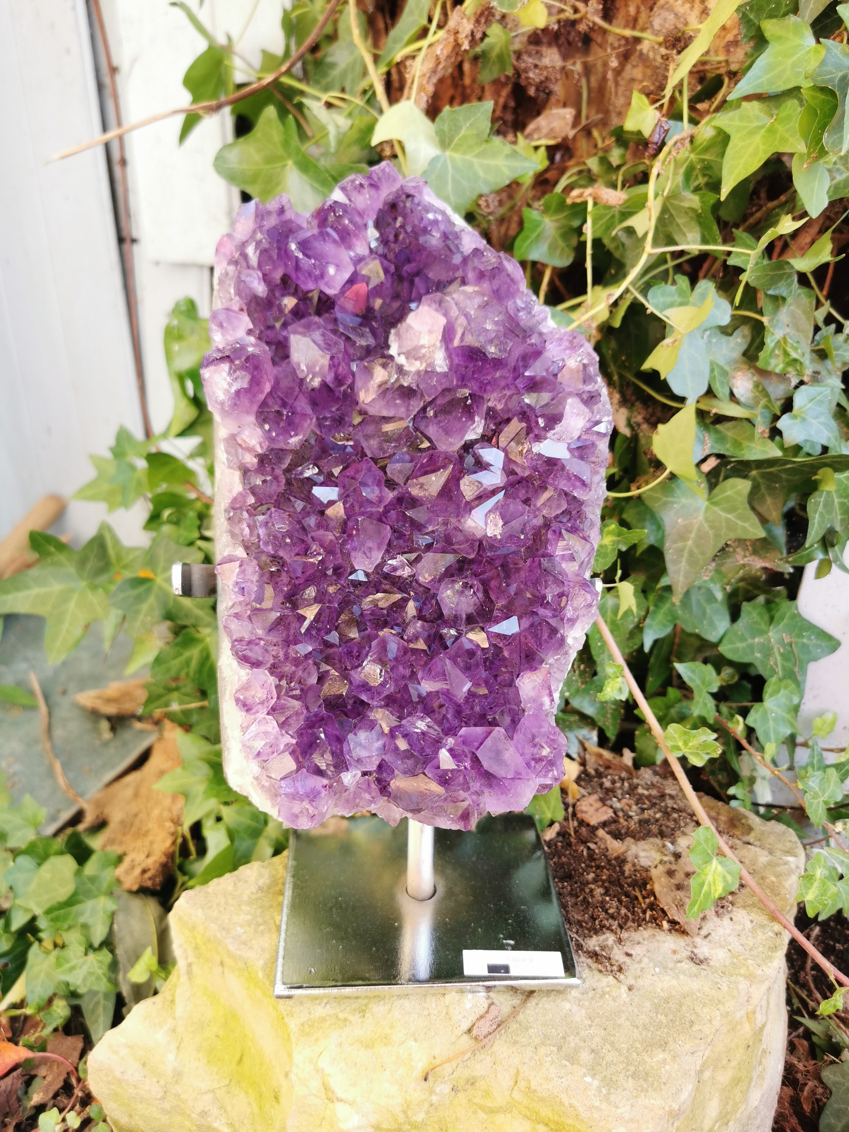 Amethyst Druse on Metal Removable Stand