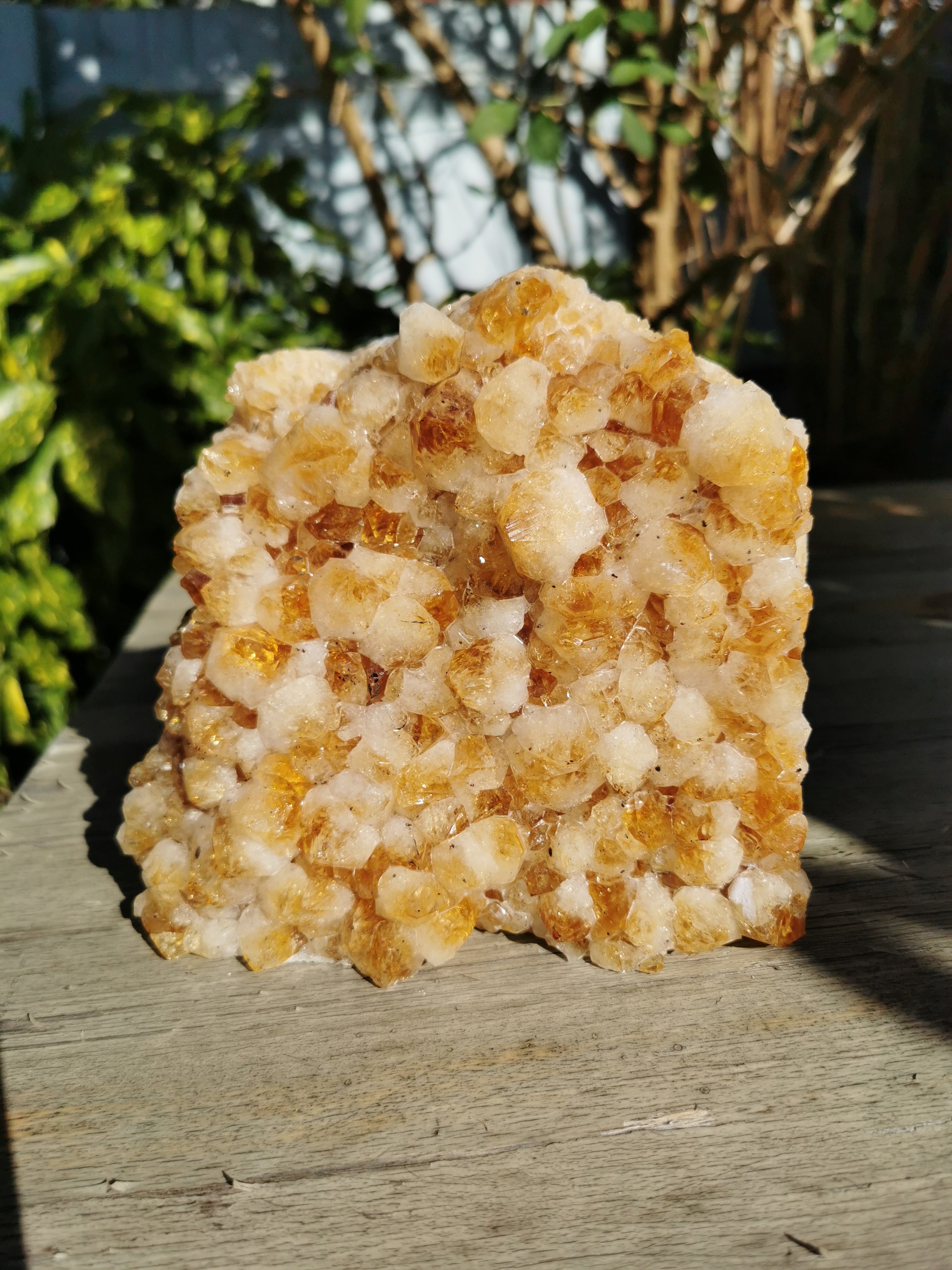 Citrine Druse with Flat Base