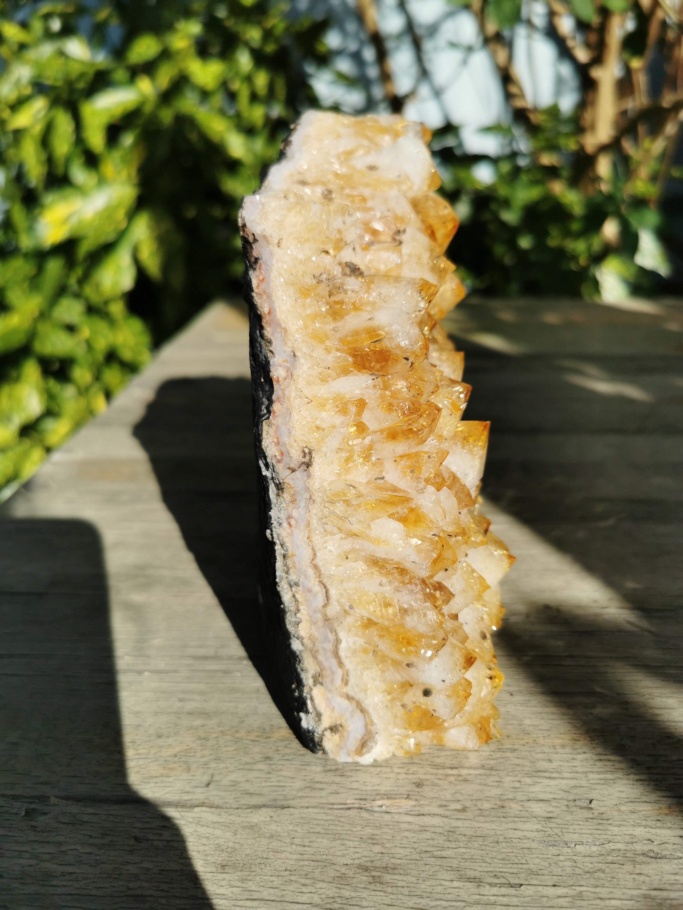 Citrine Druse with Flat Base