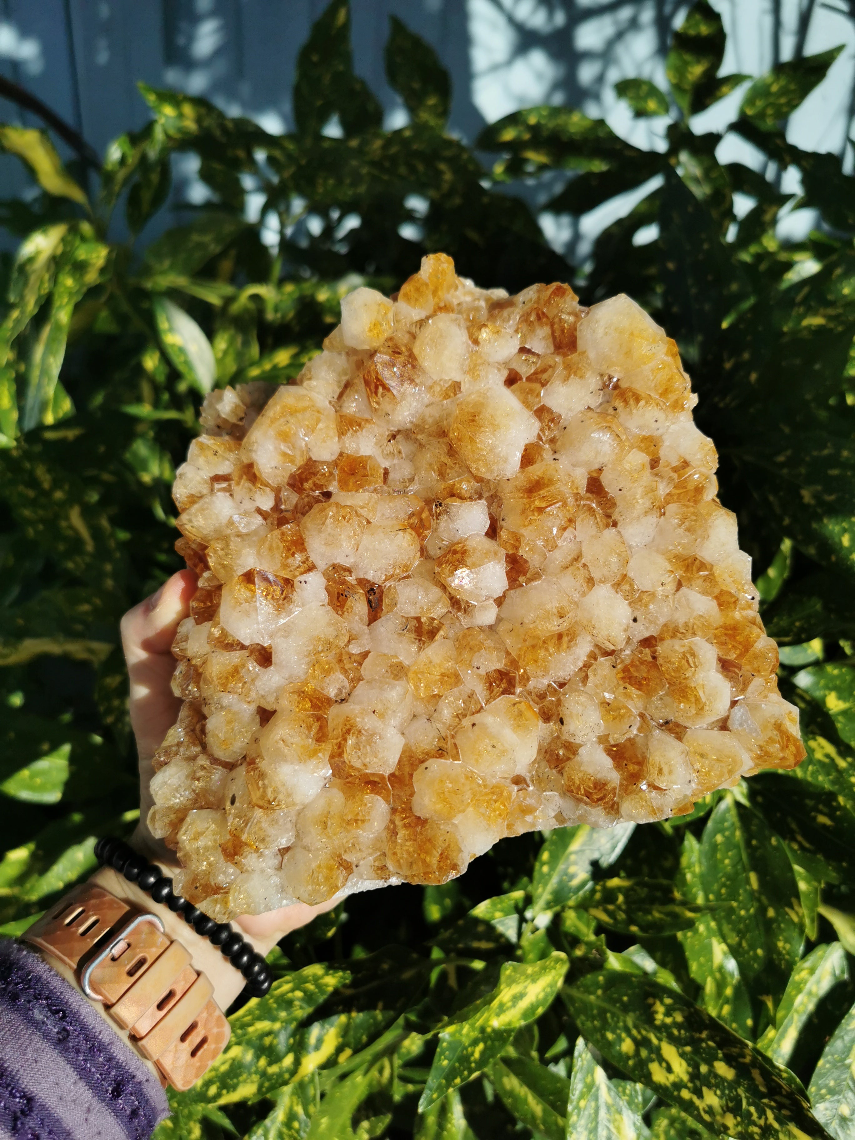 Citrine Druse with Flat Base