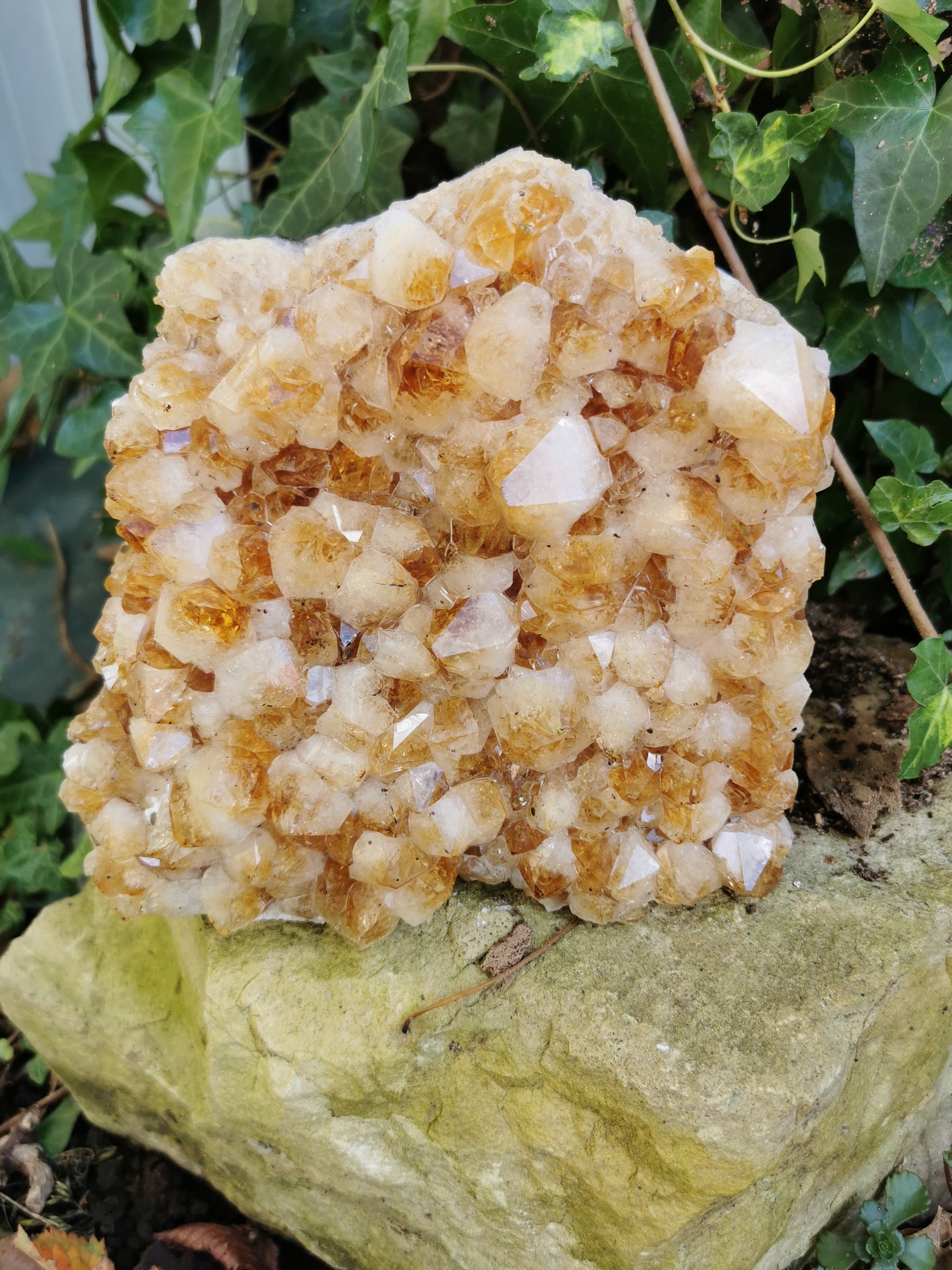 Citrine Druse with Flat Base