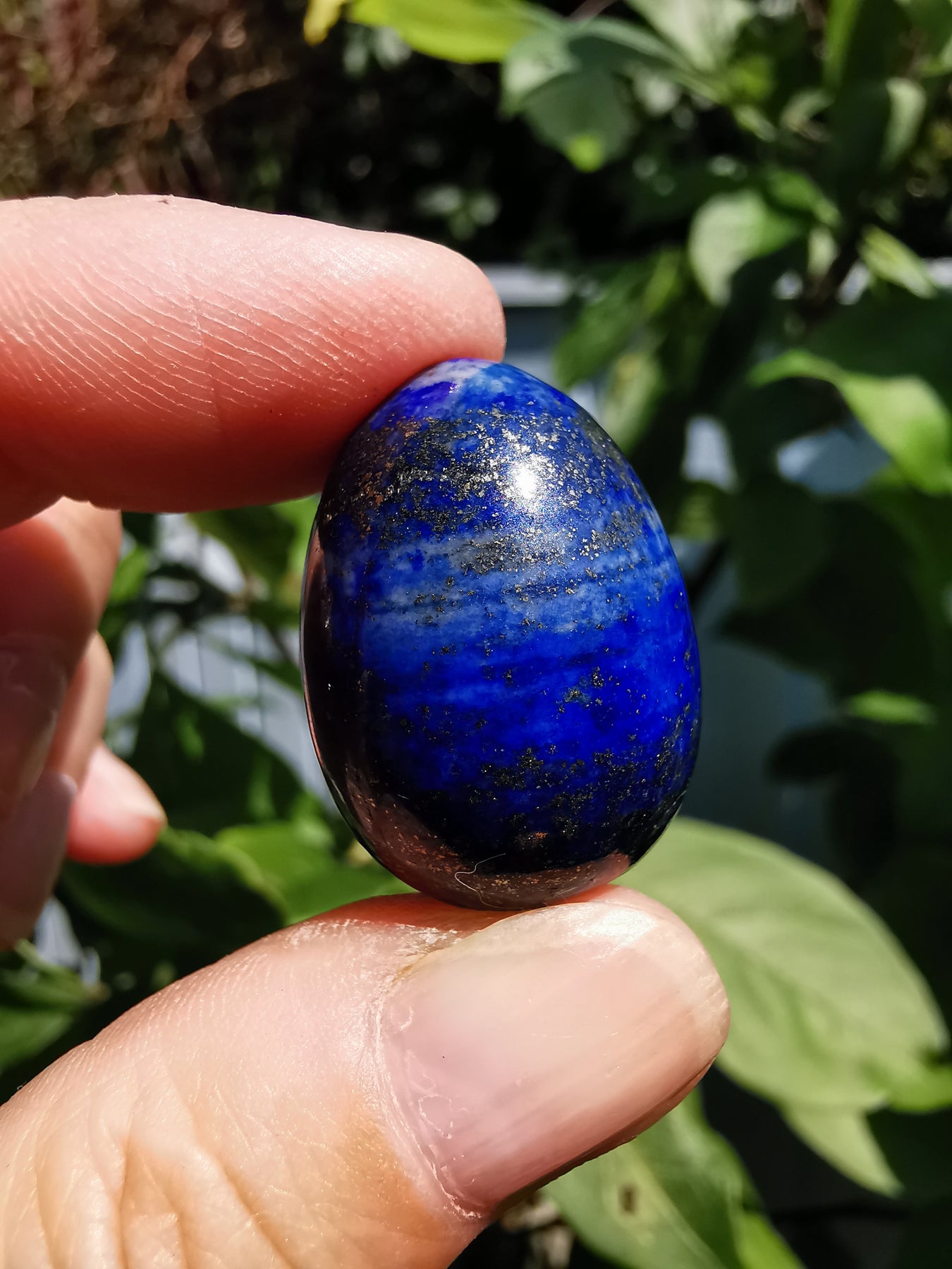 Eggs