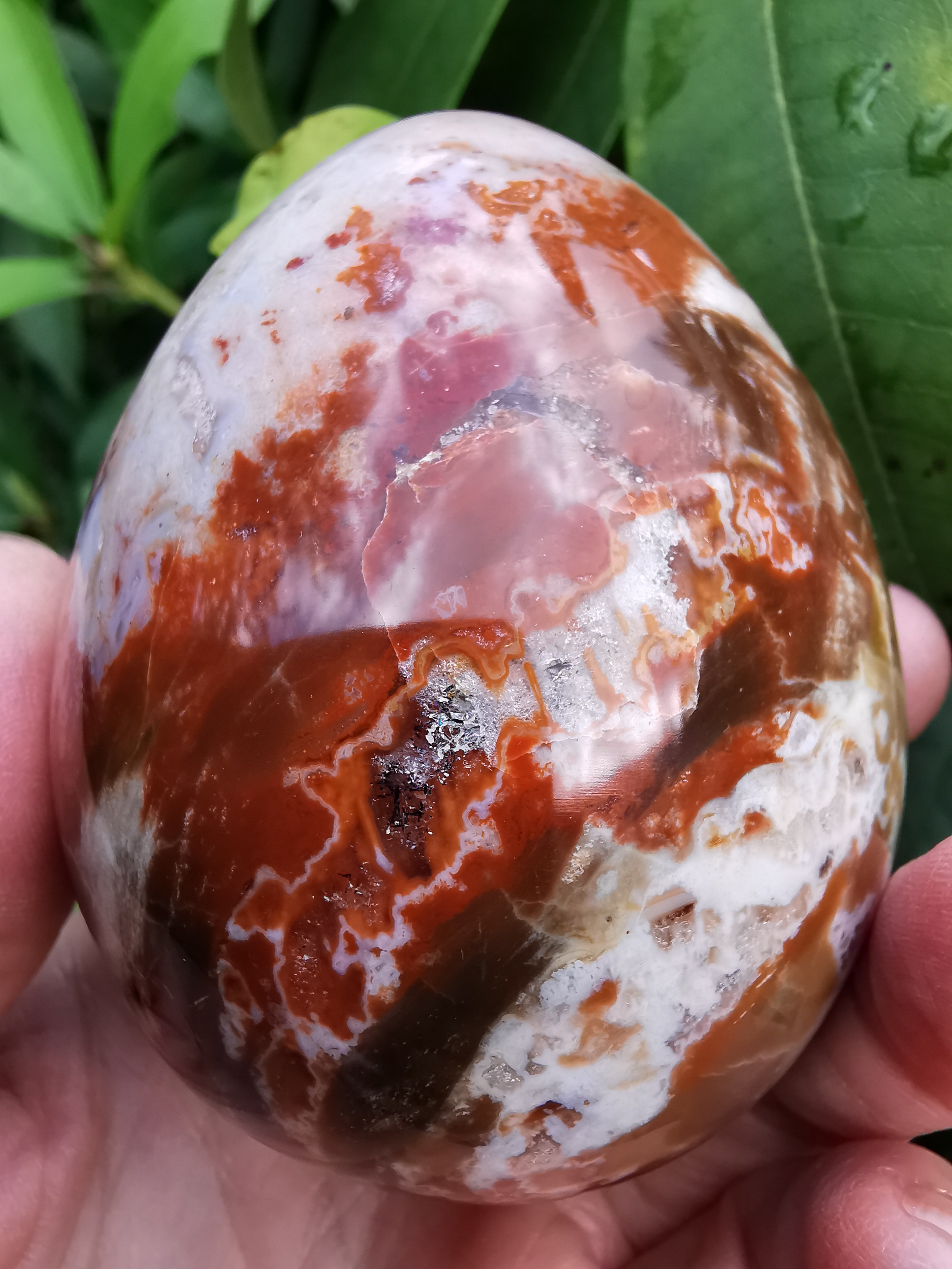 Fossil Wood Egg - 8cm