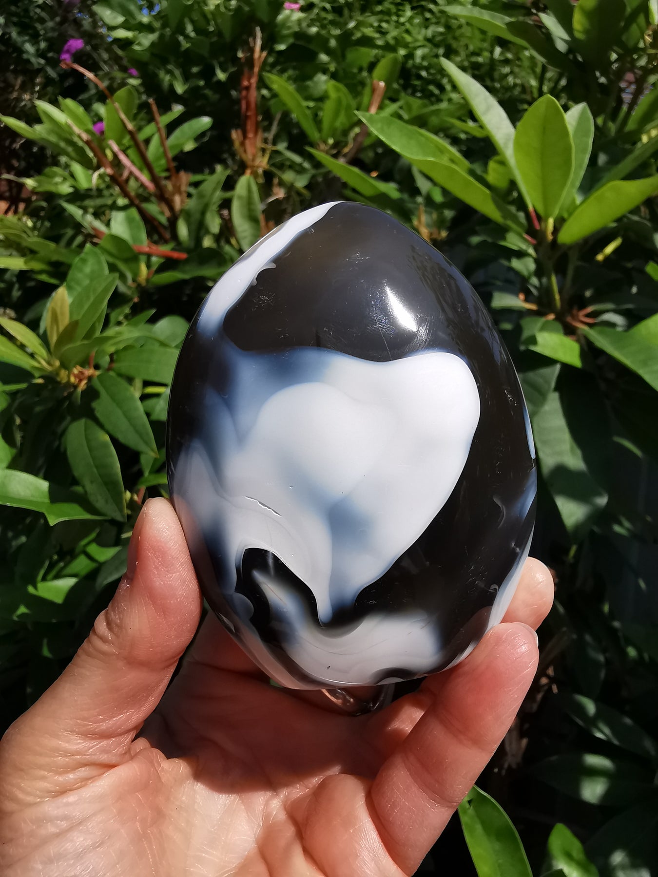 Orca Agate