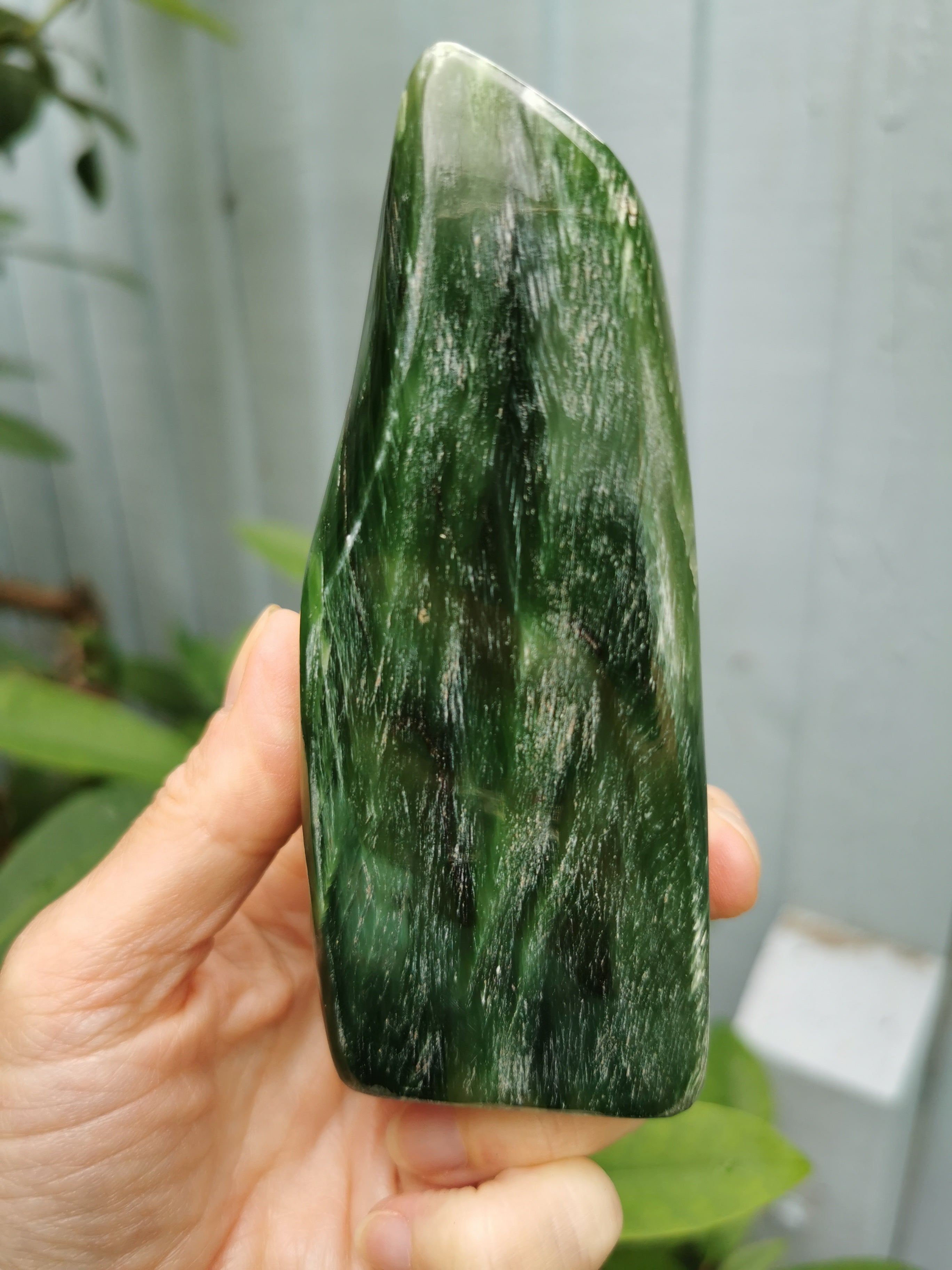 Nephrite Jade Freeform
