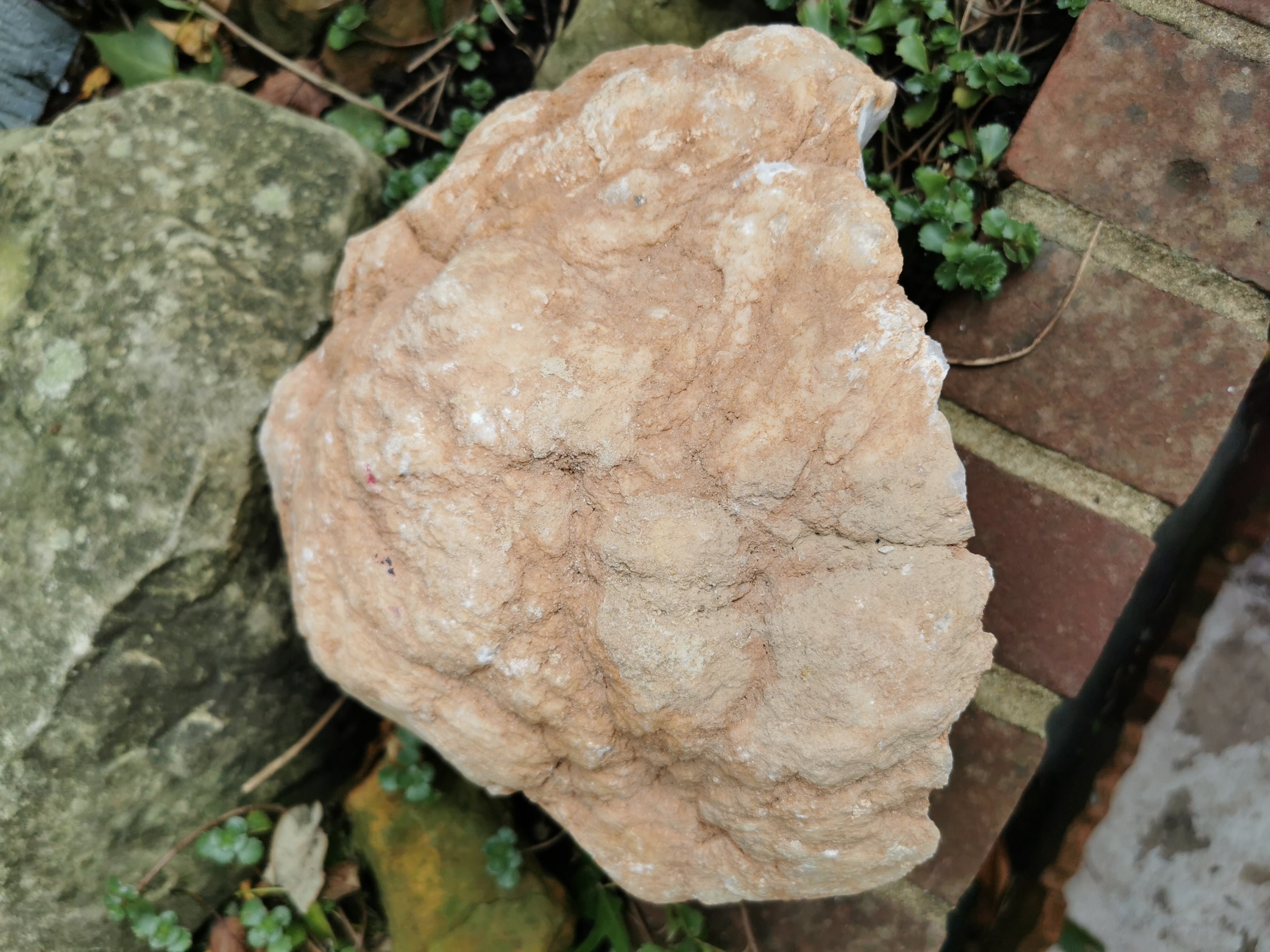 Chalcedony Geode Half