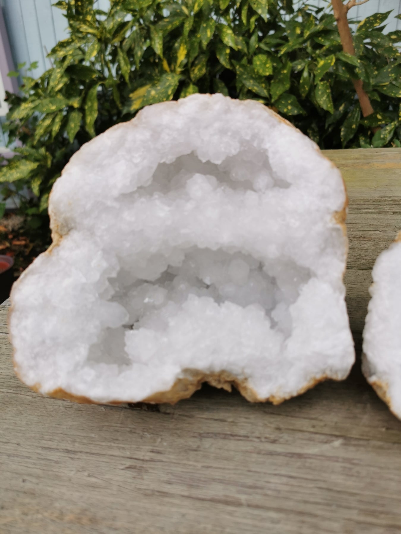 Chalcedony