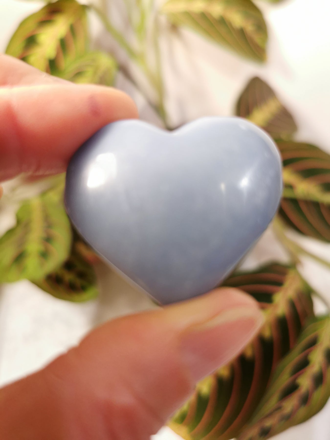 Angelite