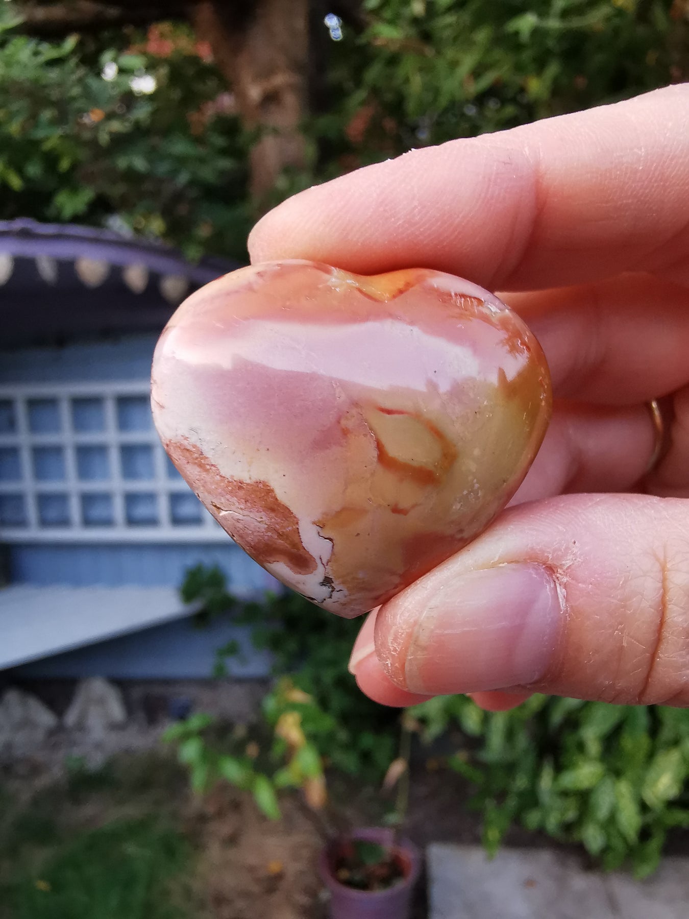Polychrome Jasper