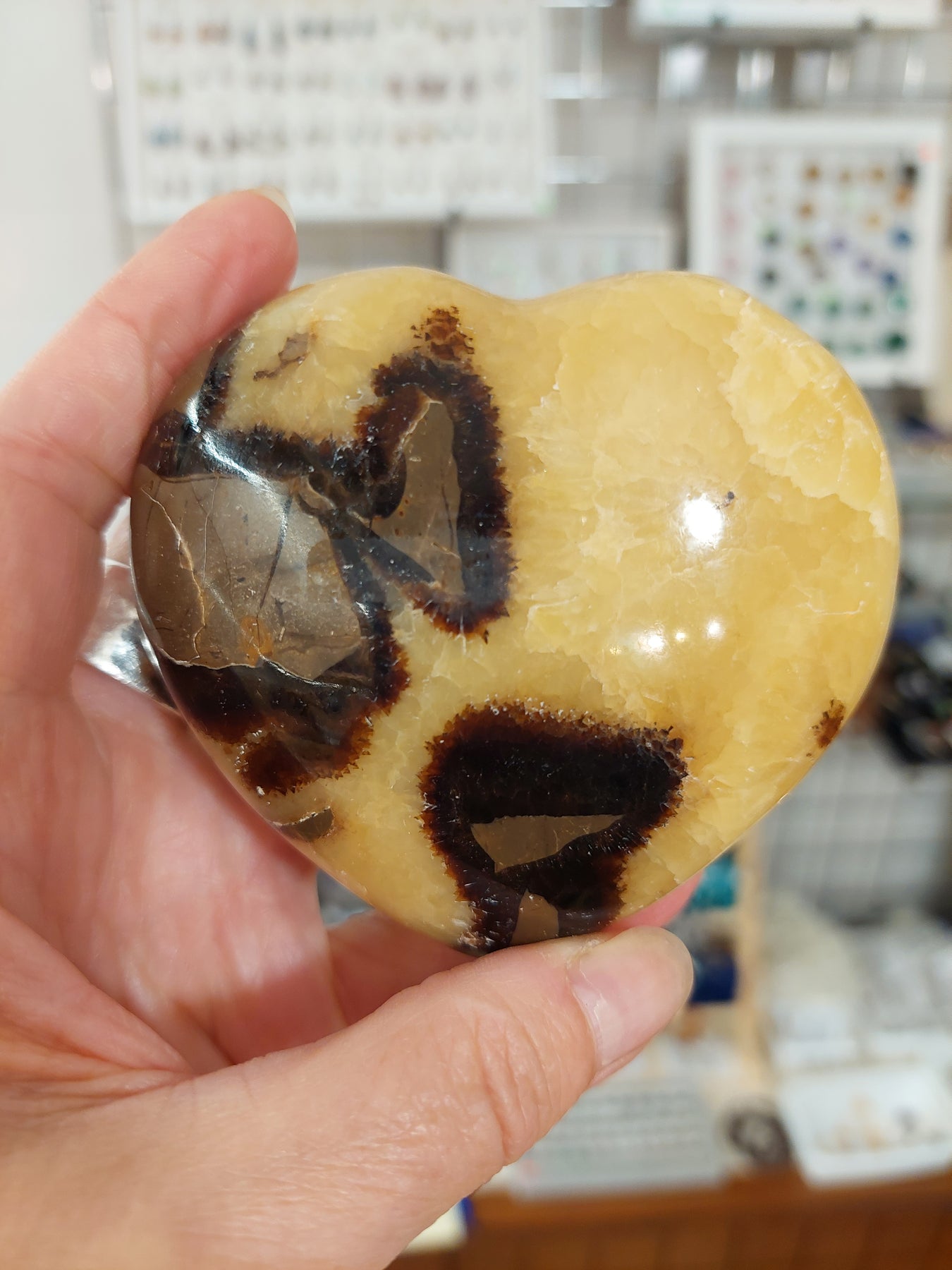Septarian