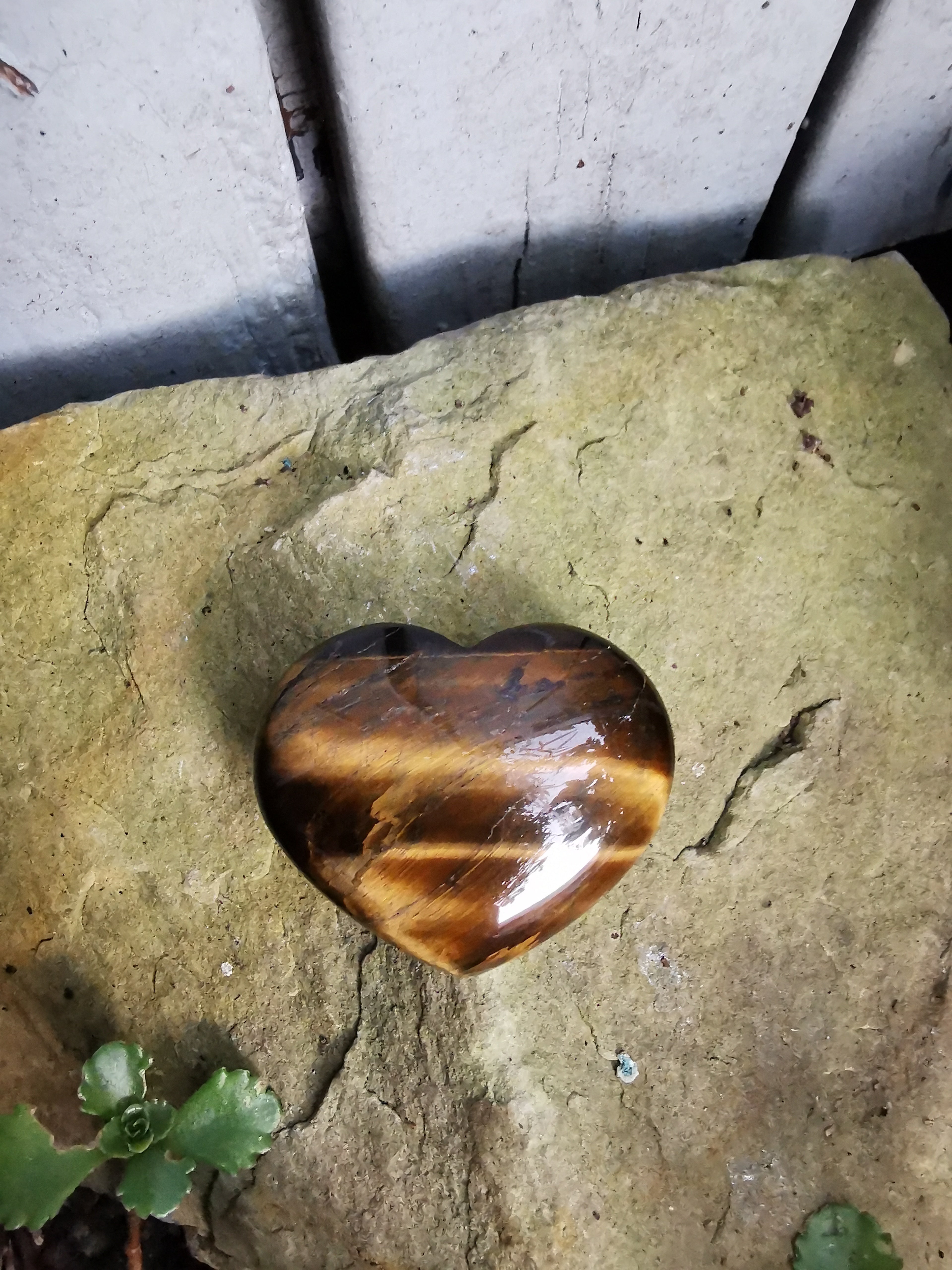 Tiger Eye Heart - 4.3cm (width)