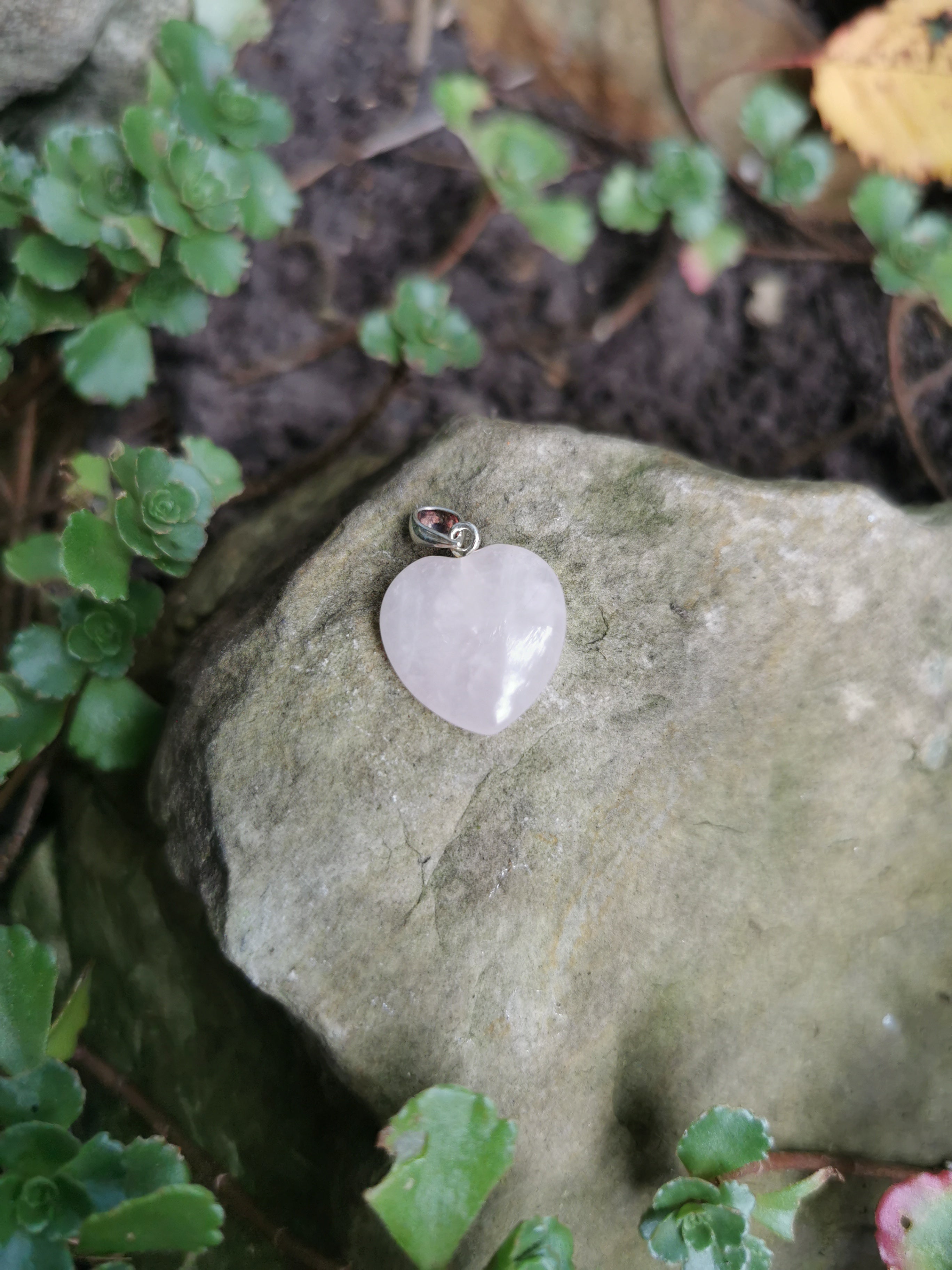Rose Quartz Heart Pendant with Sterling Silver Bail