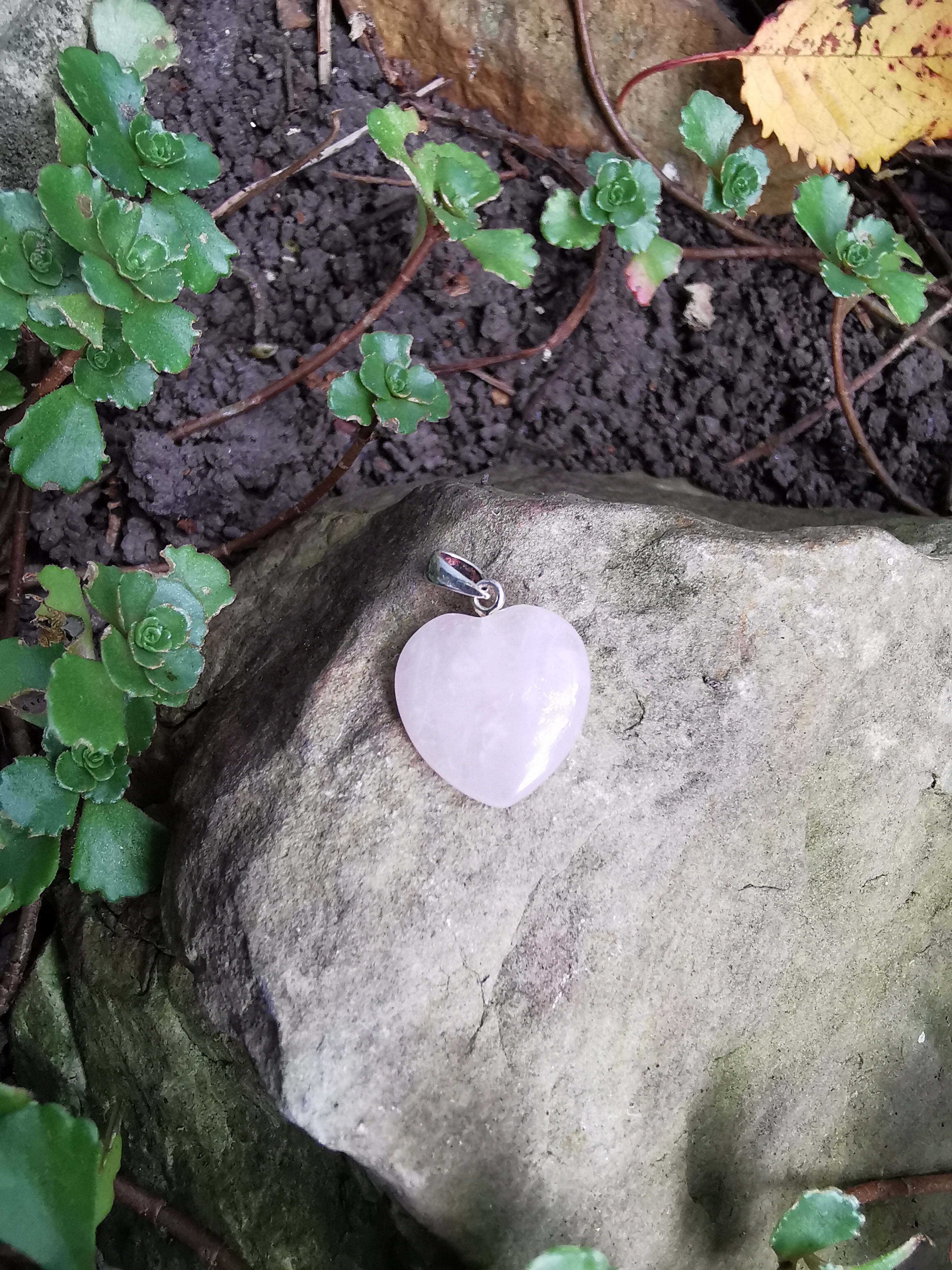 Rose Quartz Heart Pendant with Sterling Silver Bail