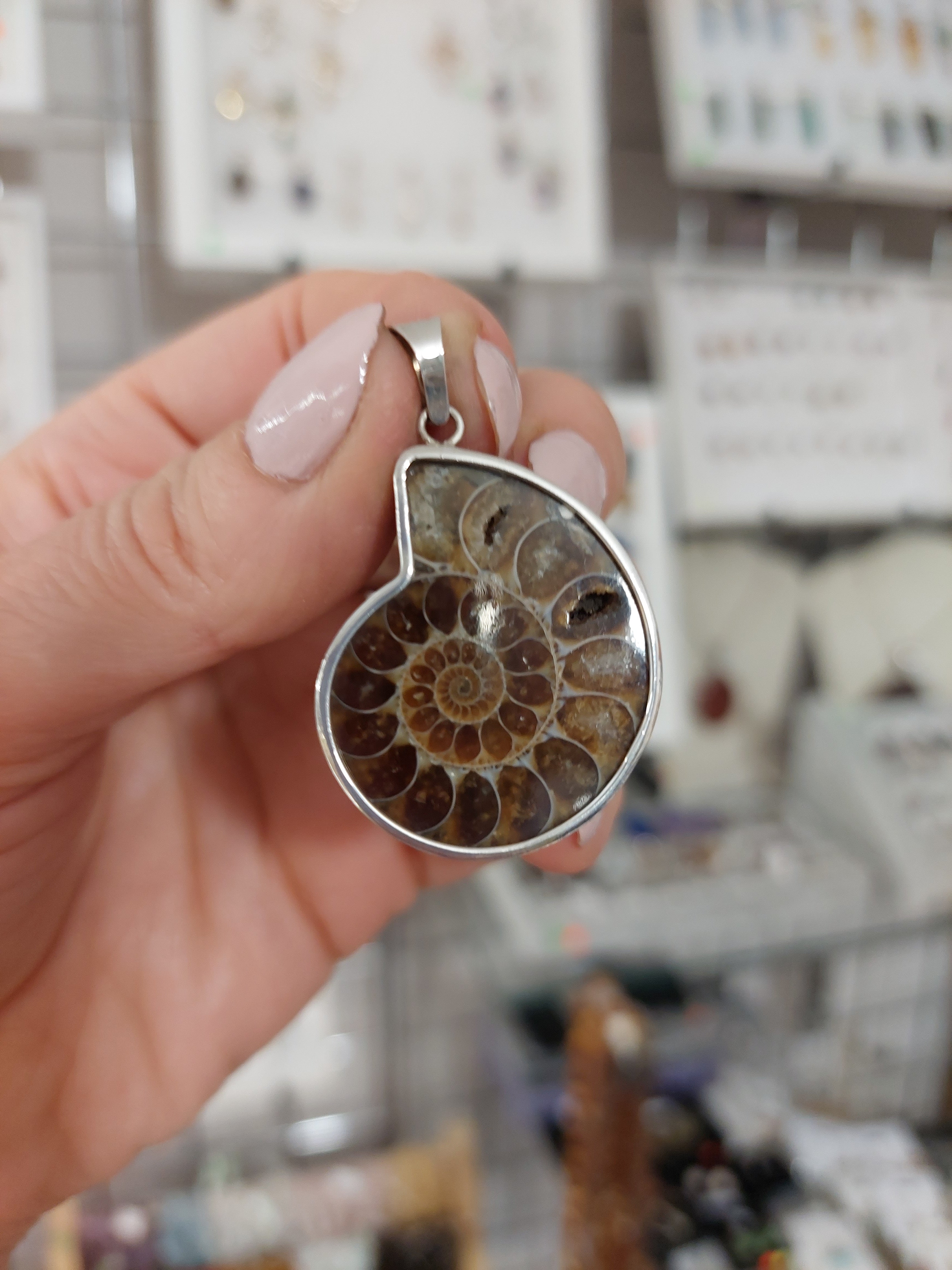 Ammonite Pendant - Sterling Silver