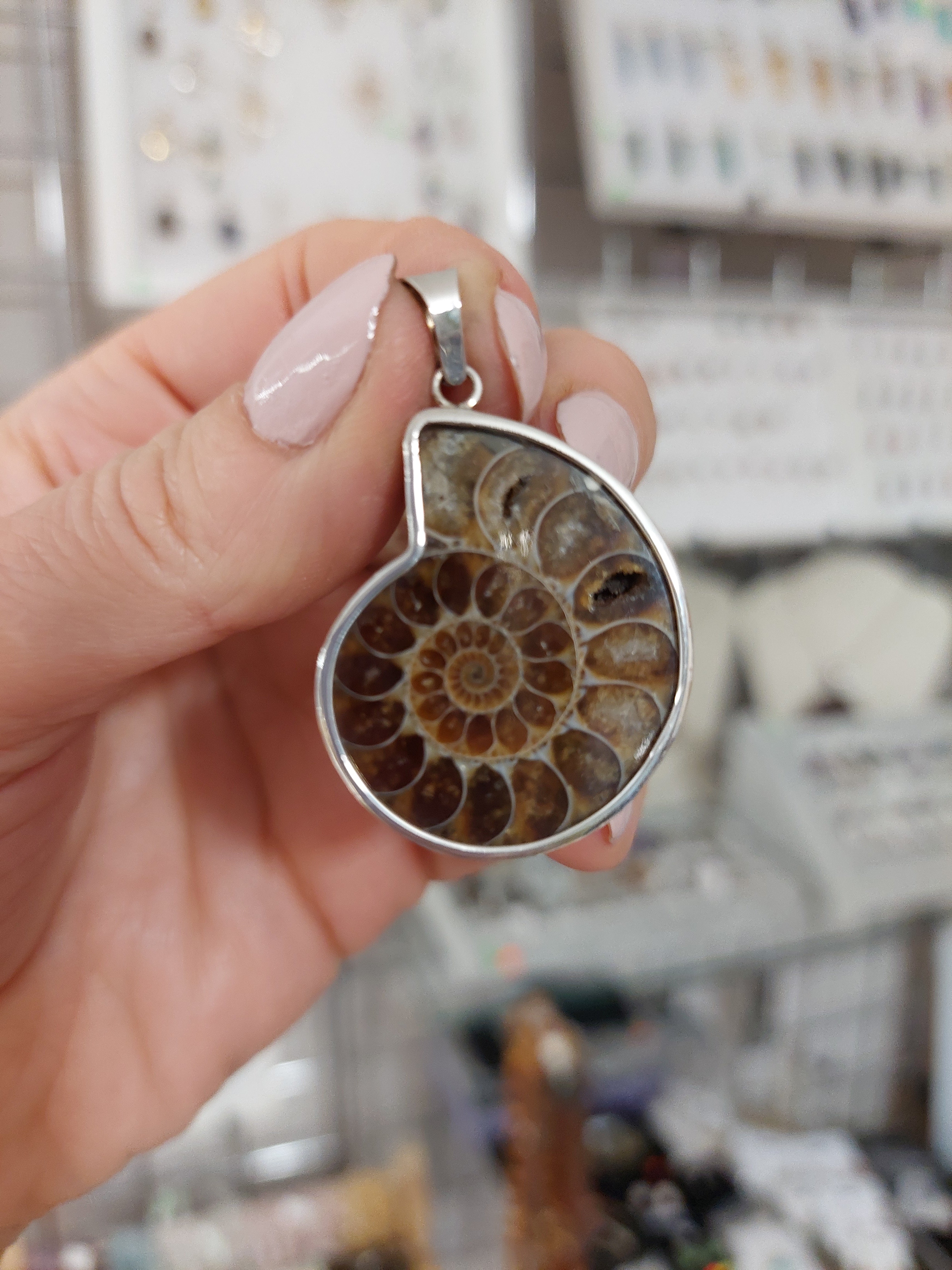 Ammonite Pendant - Sterling Silver