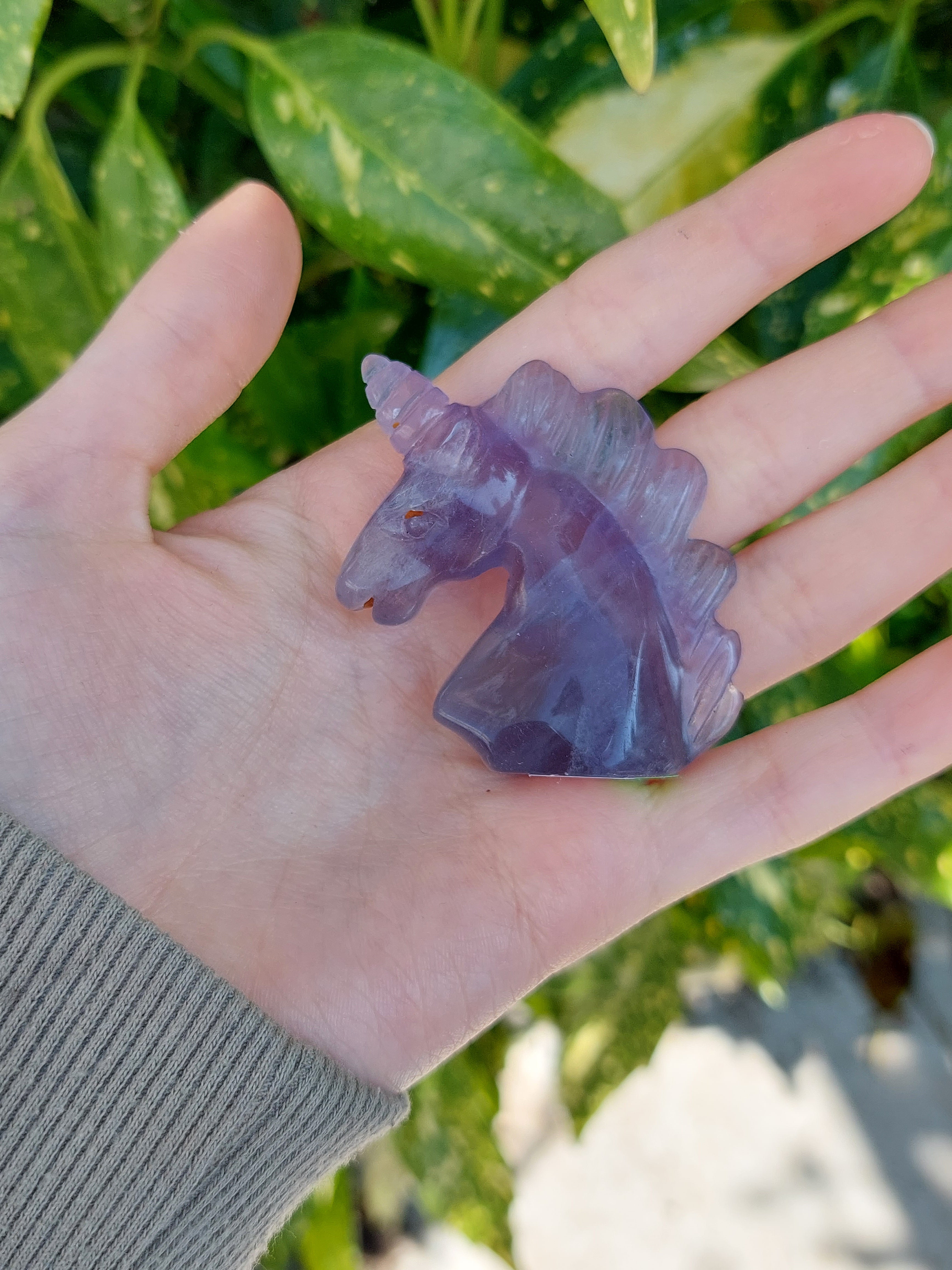 Fluorite Unicorn