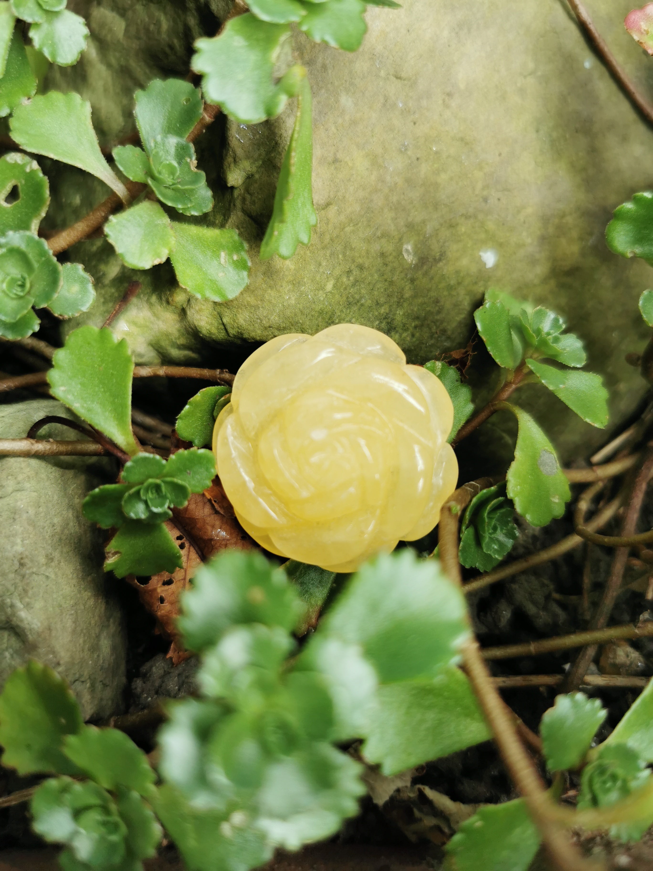 Yellow Jade Lotus Flower