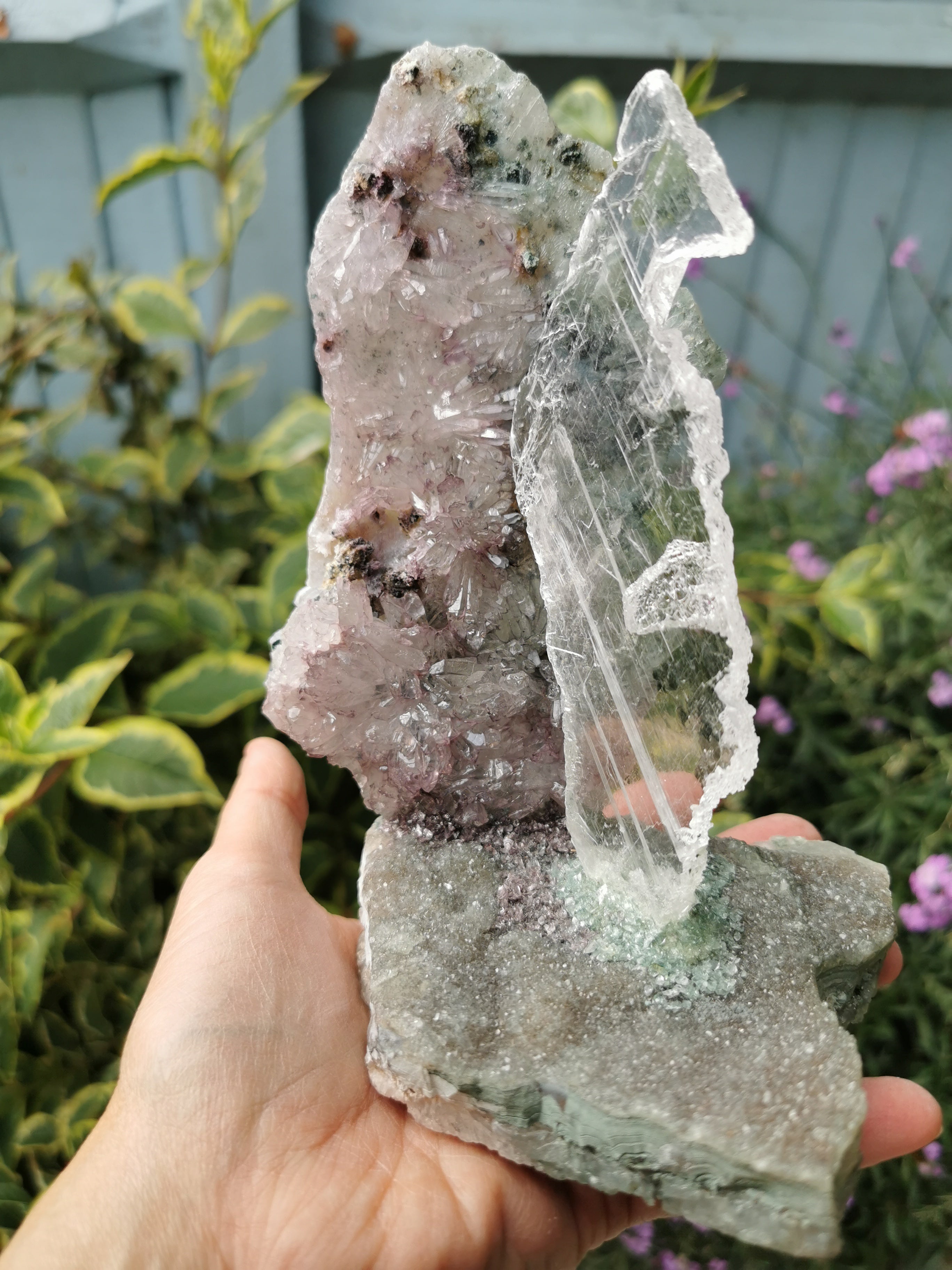 Drusy Quartz and Fishtail Selenite Sculpture