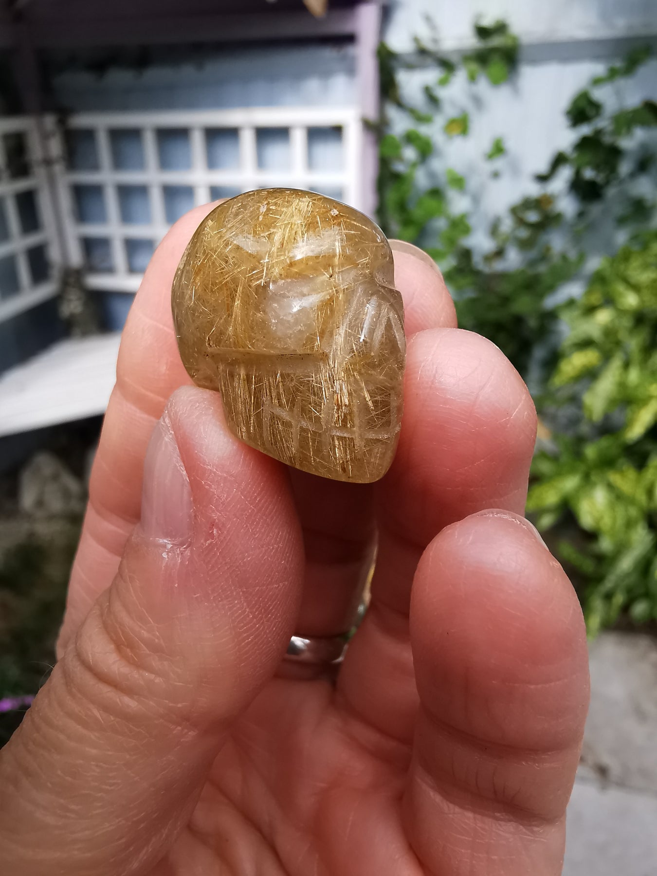 Rutilated Quartz