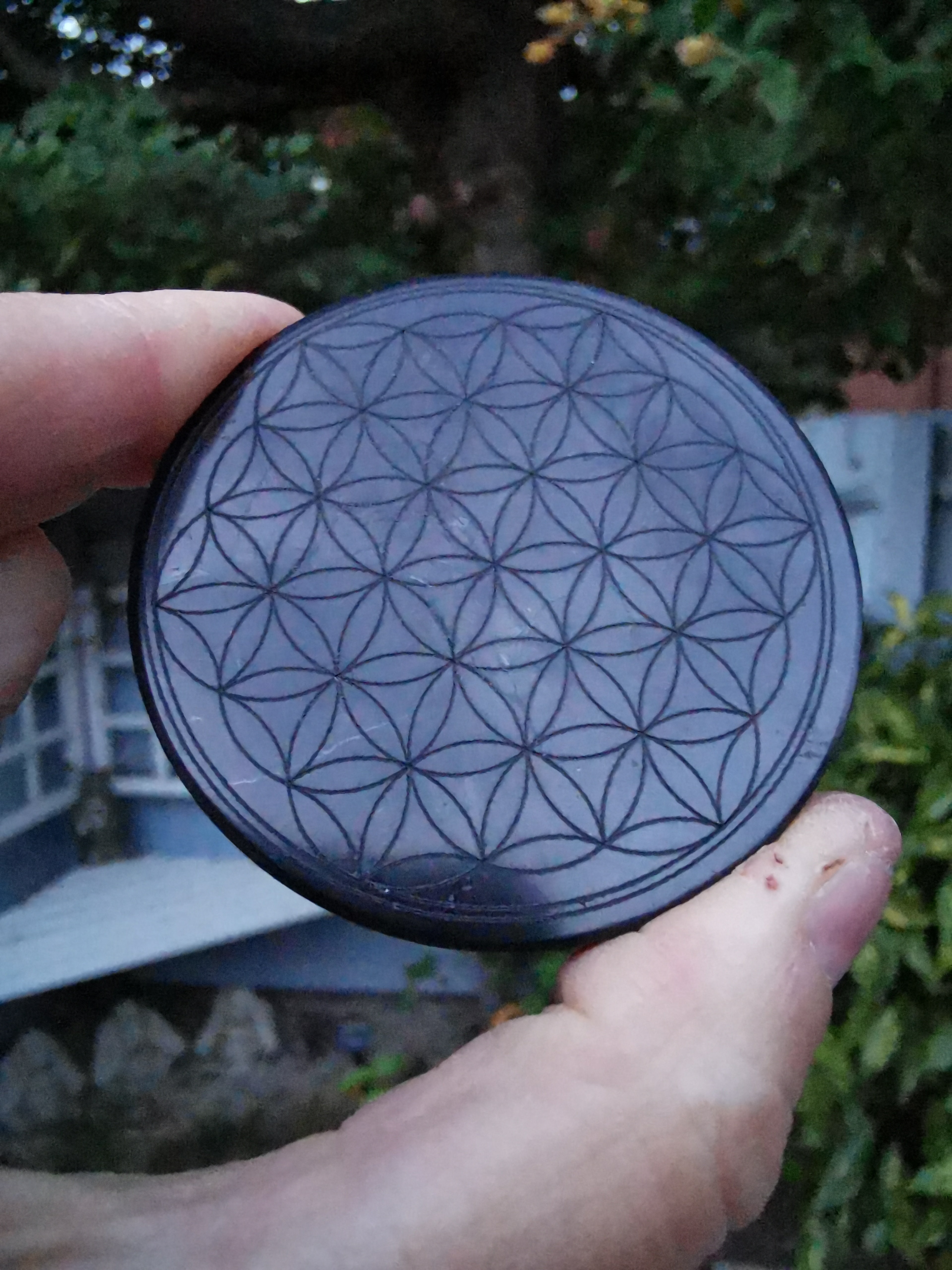 Shungite Flower of Life Engraved Disc