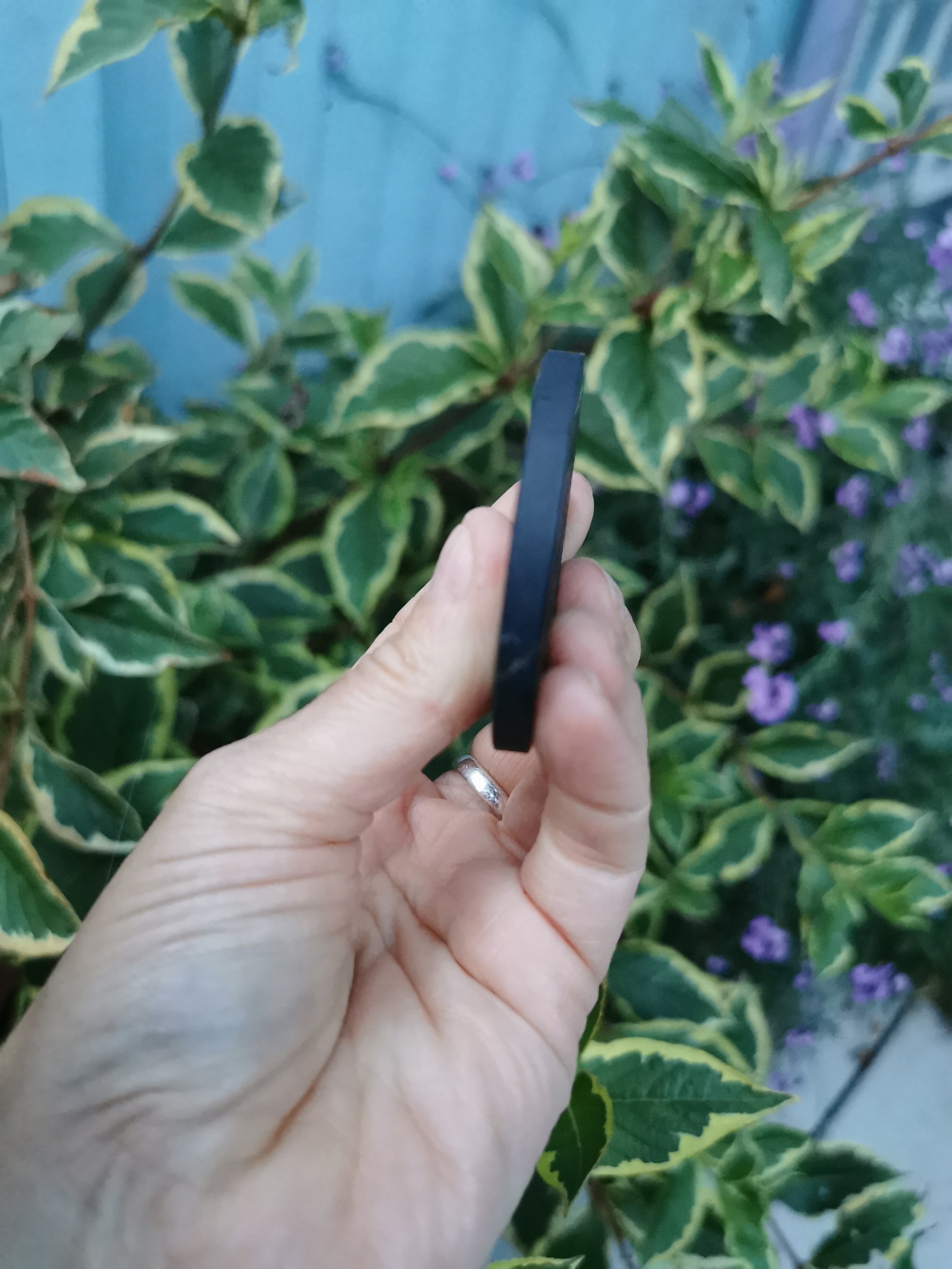 Shungite Flower of Life Engraved Disc